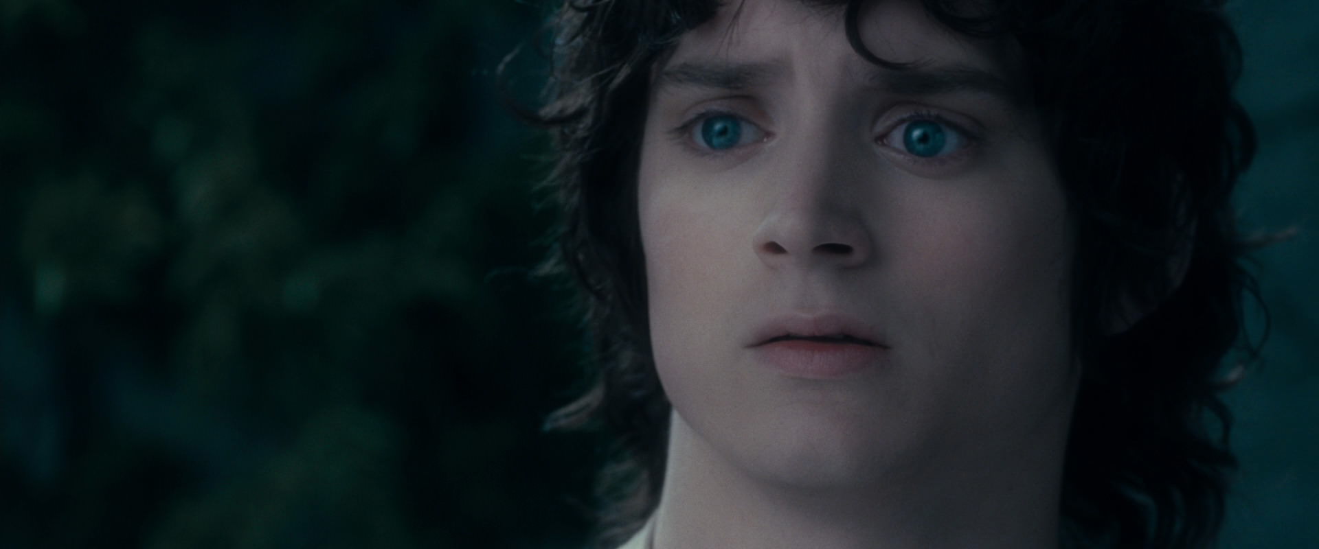 The Lord of the Rings: The Fellowship of the Ring (2001) screencap 19362