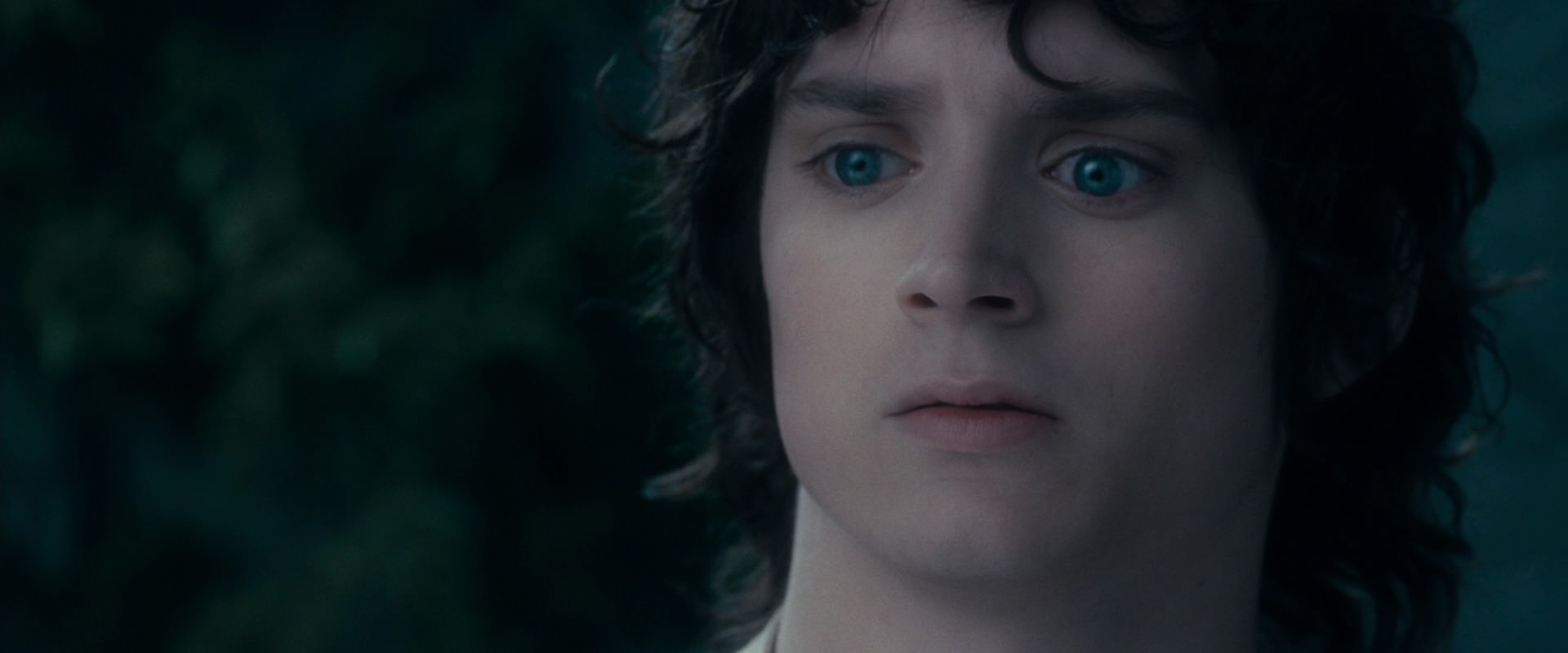 The Lord of the Rings: The Fellowship of the Ring (2001) movie still 19363
