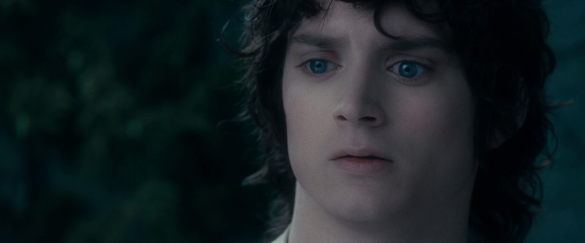 The Lord of the Rings: The Fellowship of the Ring (2001) HD screenshot 19364