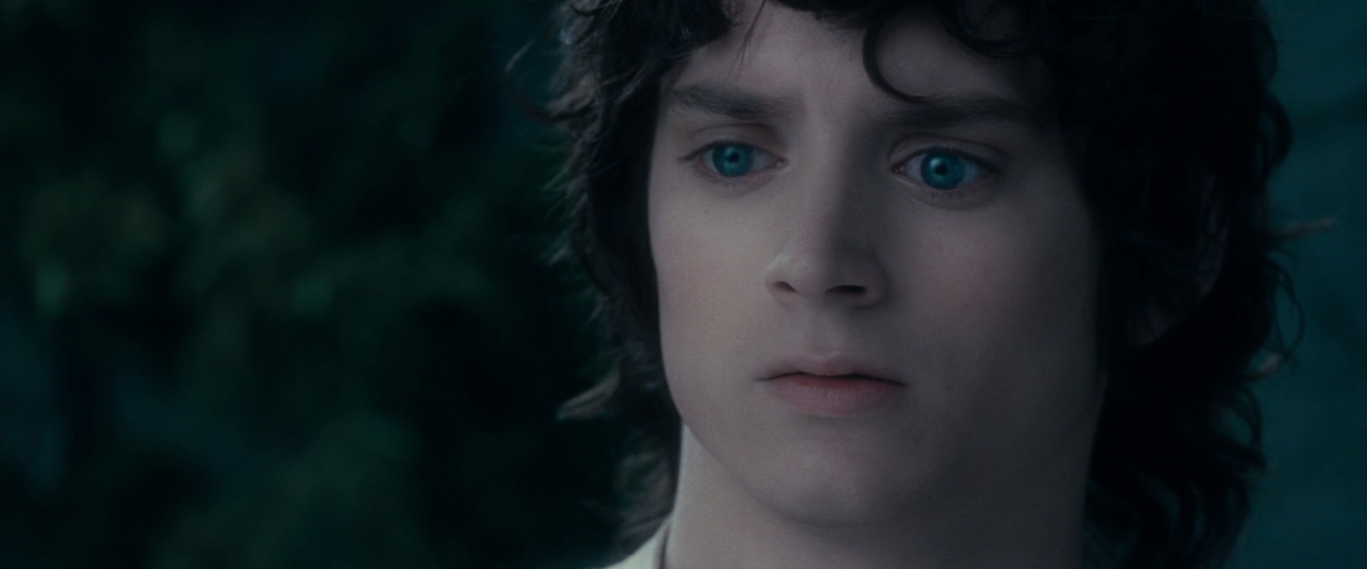 The Lord of the Rings: The Fellowship of the Ring (2001) screencap 19365