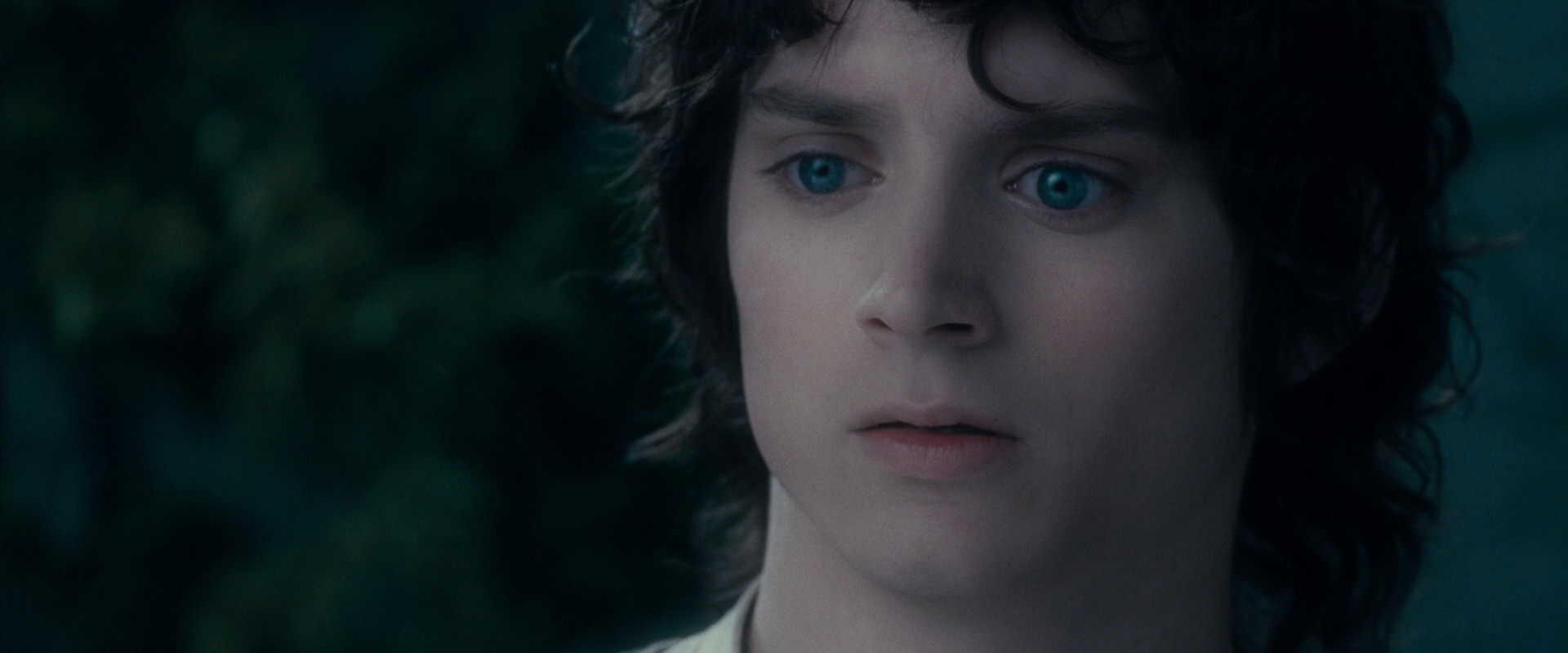 The Lord of the Rings: The Fellowship of the Ring (2001) movie still 19366