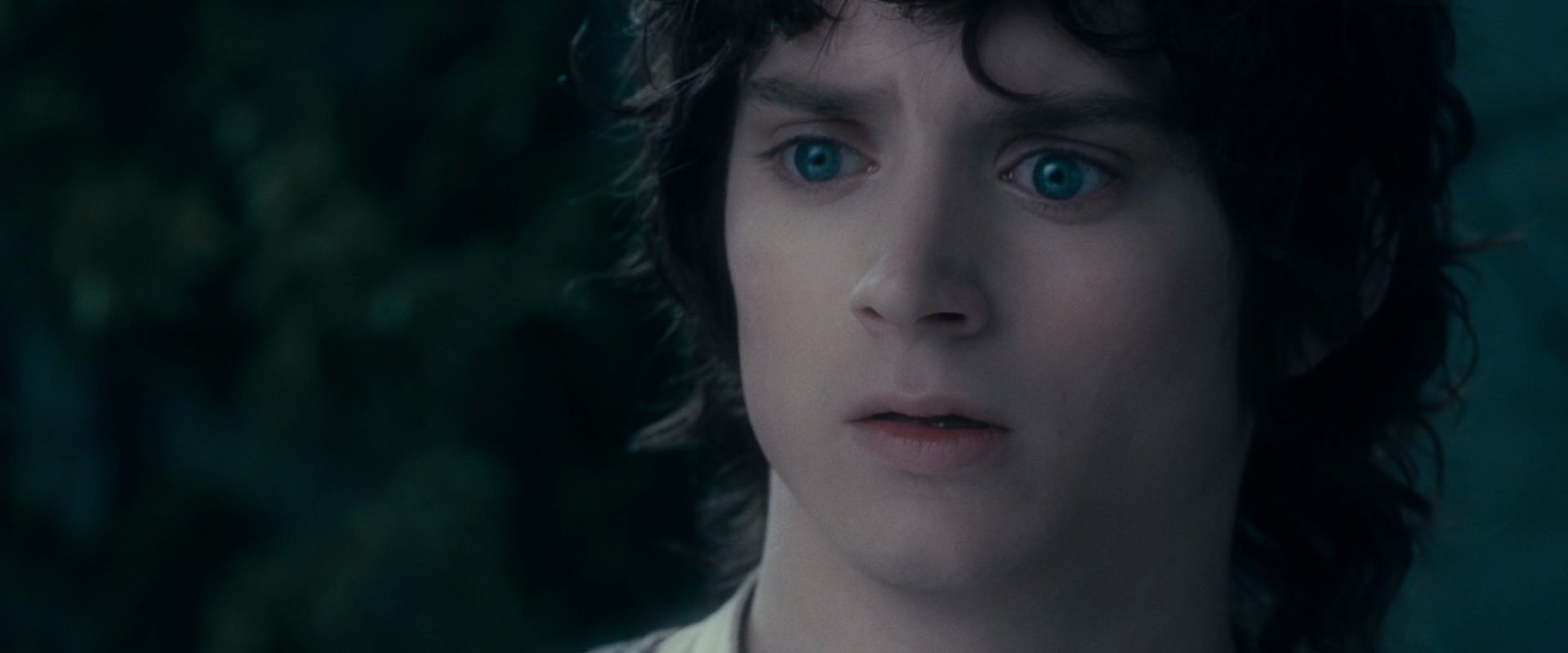 The Lord of the Rings: The Fellowship of the Ring (2001) HD screenshot 19367