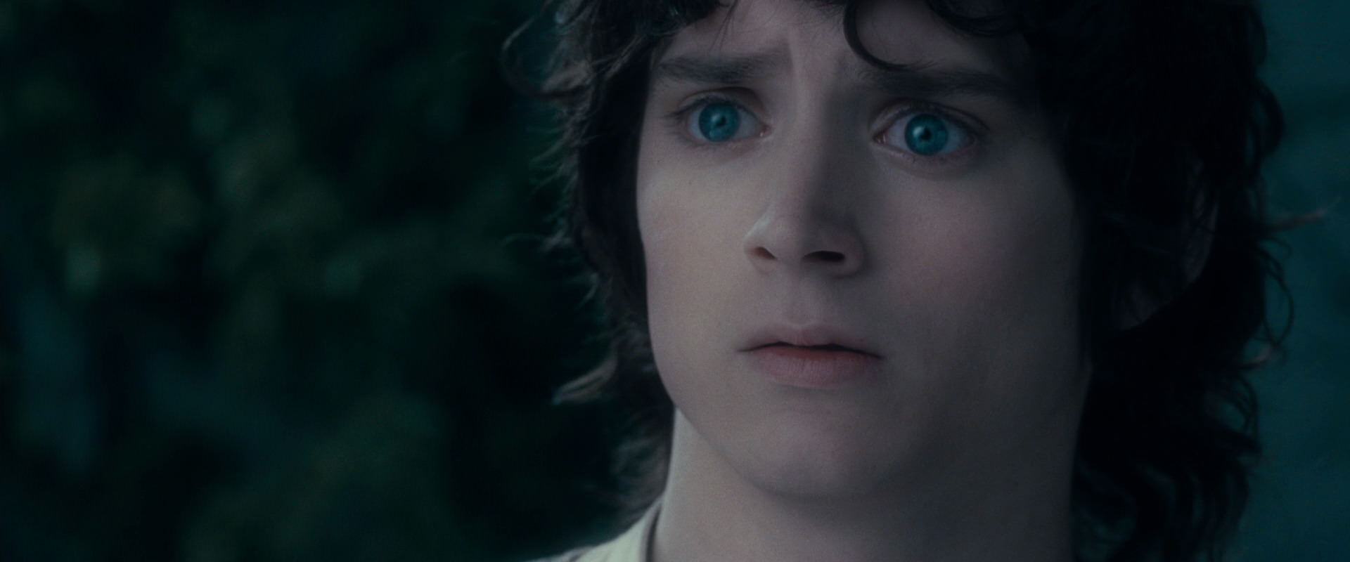 The Lord of the Rings: The Fellowship of the Ring (2001) screencap 19368
