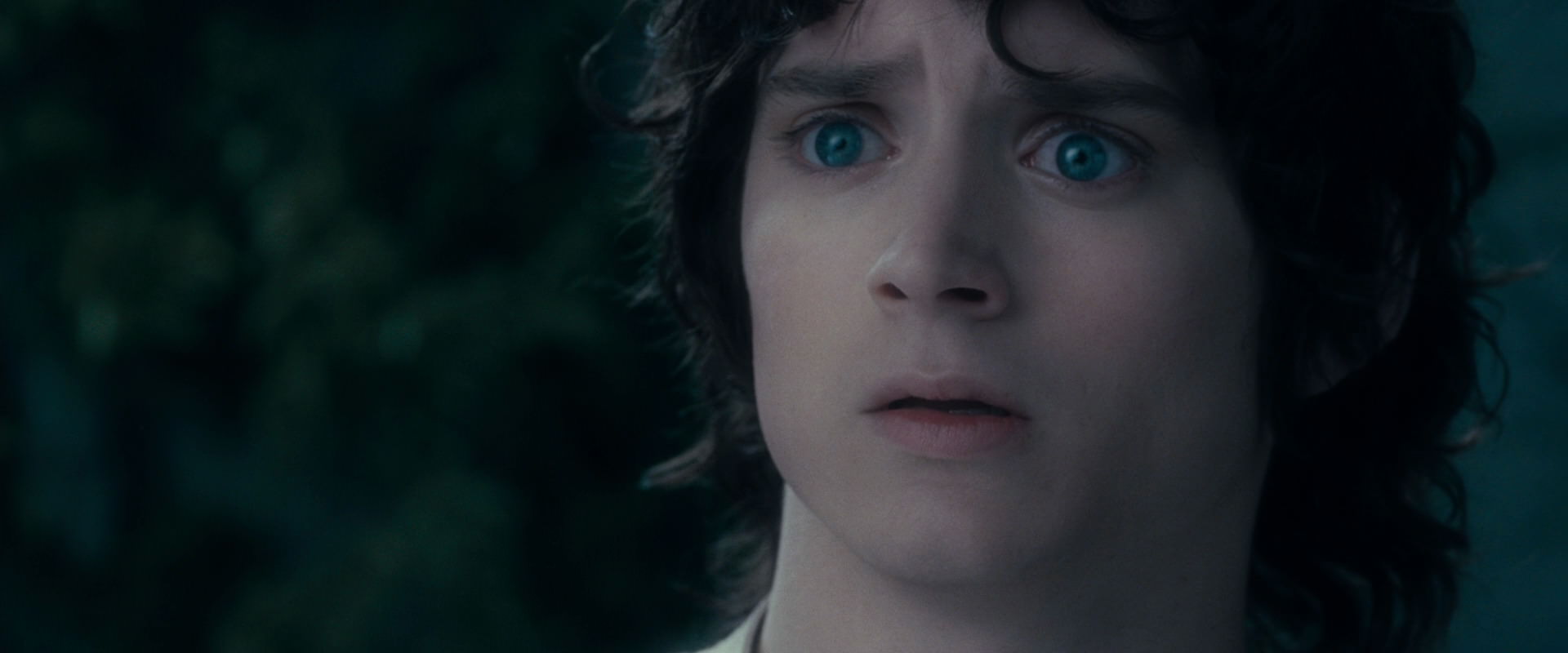 The Lord of the Rings: The Fellowship of the Ring (2001) movie still 19369