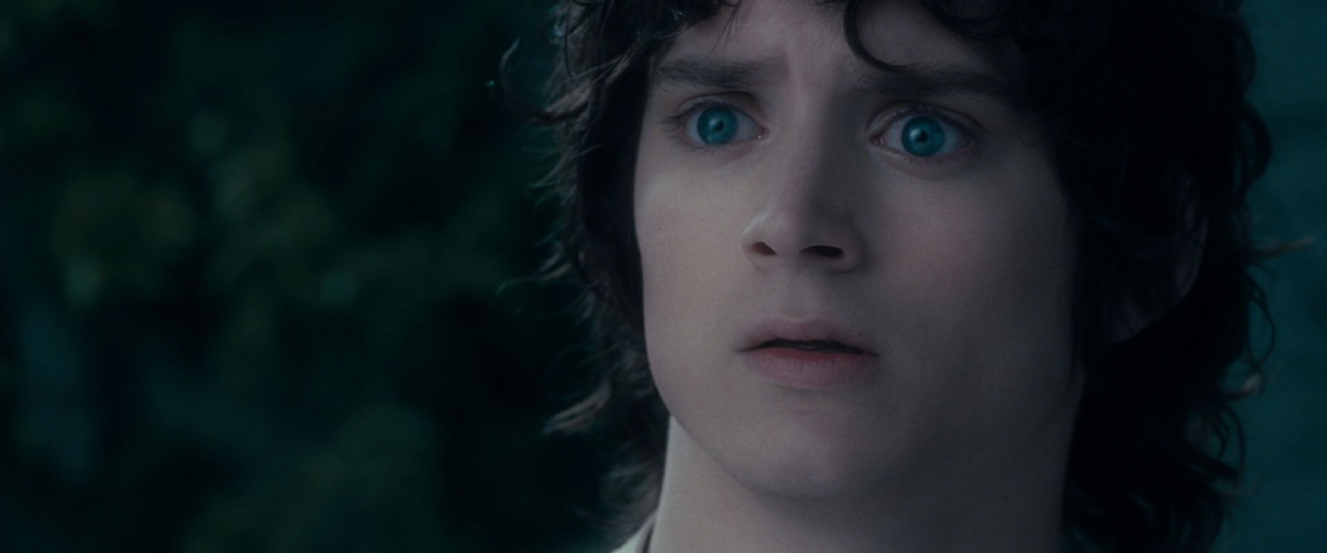 The Lord of the Rings: The Fellowship of the Ring (2001) HD screenshot 19370