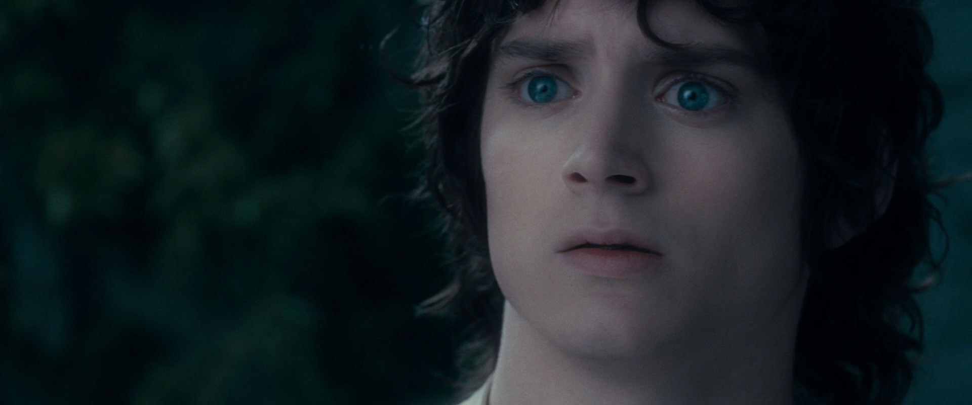 The Lord of the Rings: The Fellowship of the Ring (2001) screencap 19371