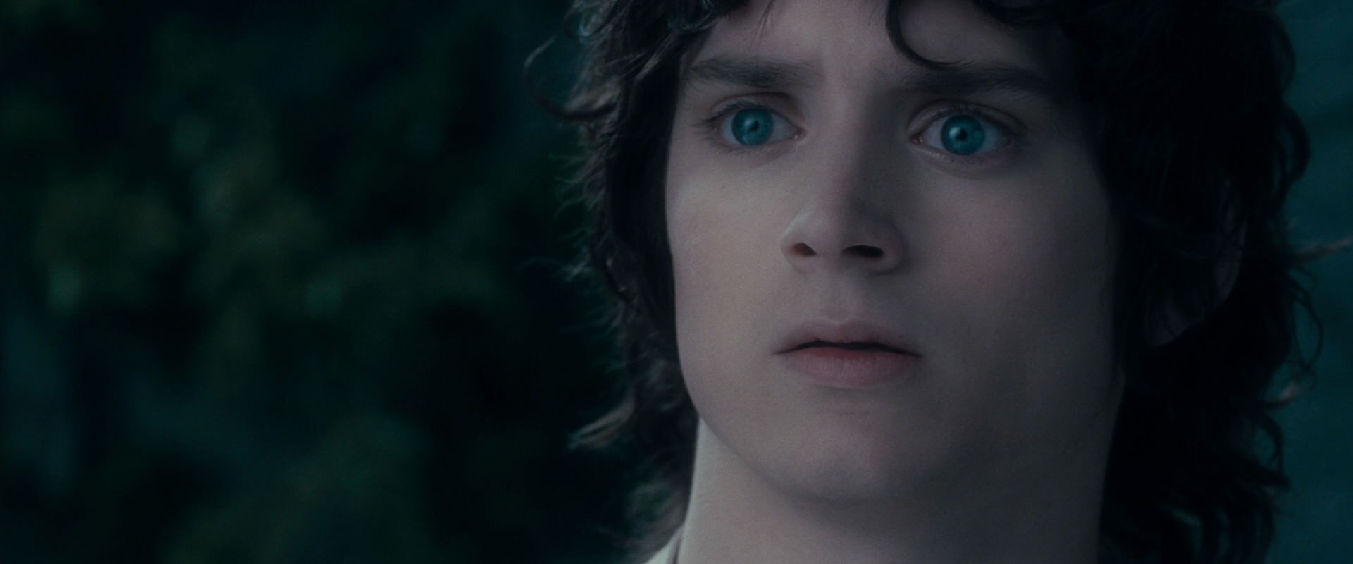 The Lord of the Rings: The Fellowship of the Ring (2001) movie still 19372