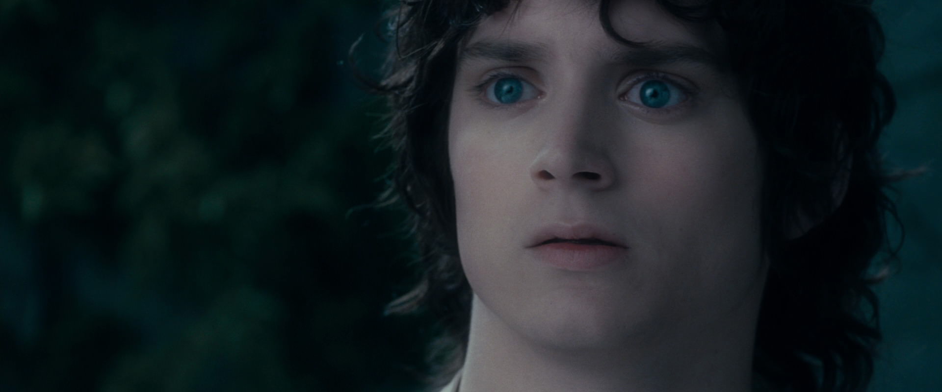 The Lord of the Rings: The Fellowship of the Ring (2001) HD screenshot 19373