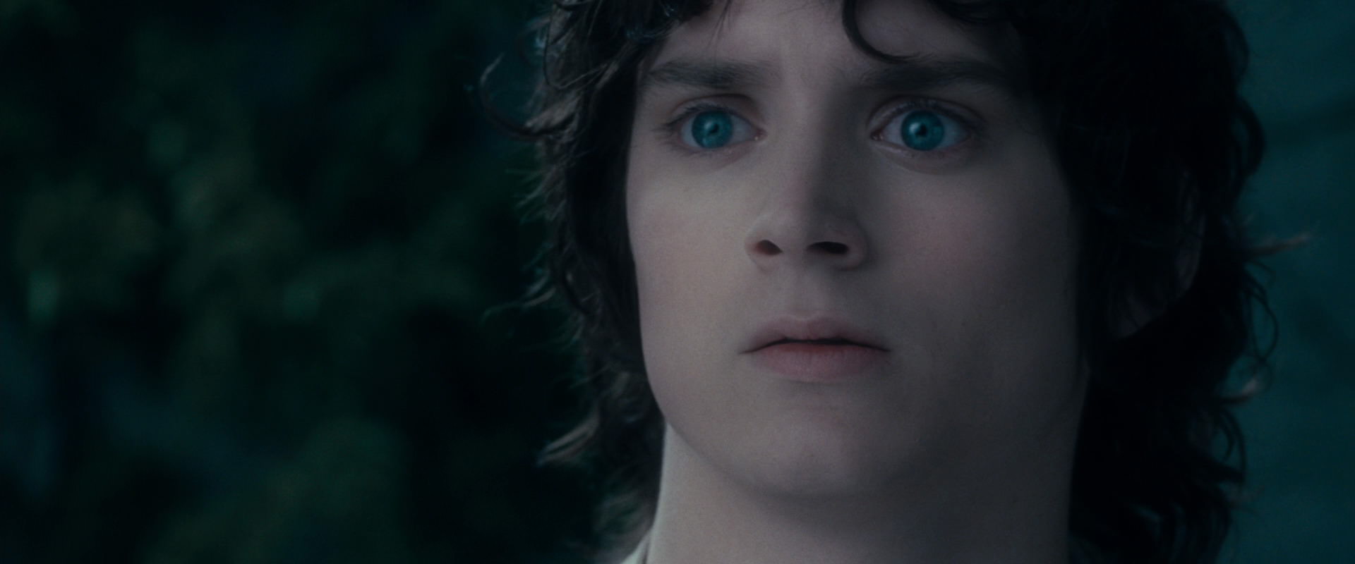 The Lord of the Rings: The Fellowship of the Ring (2001) screencap 19374