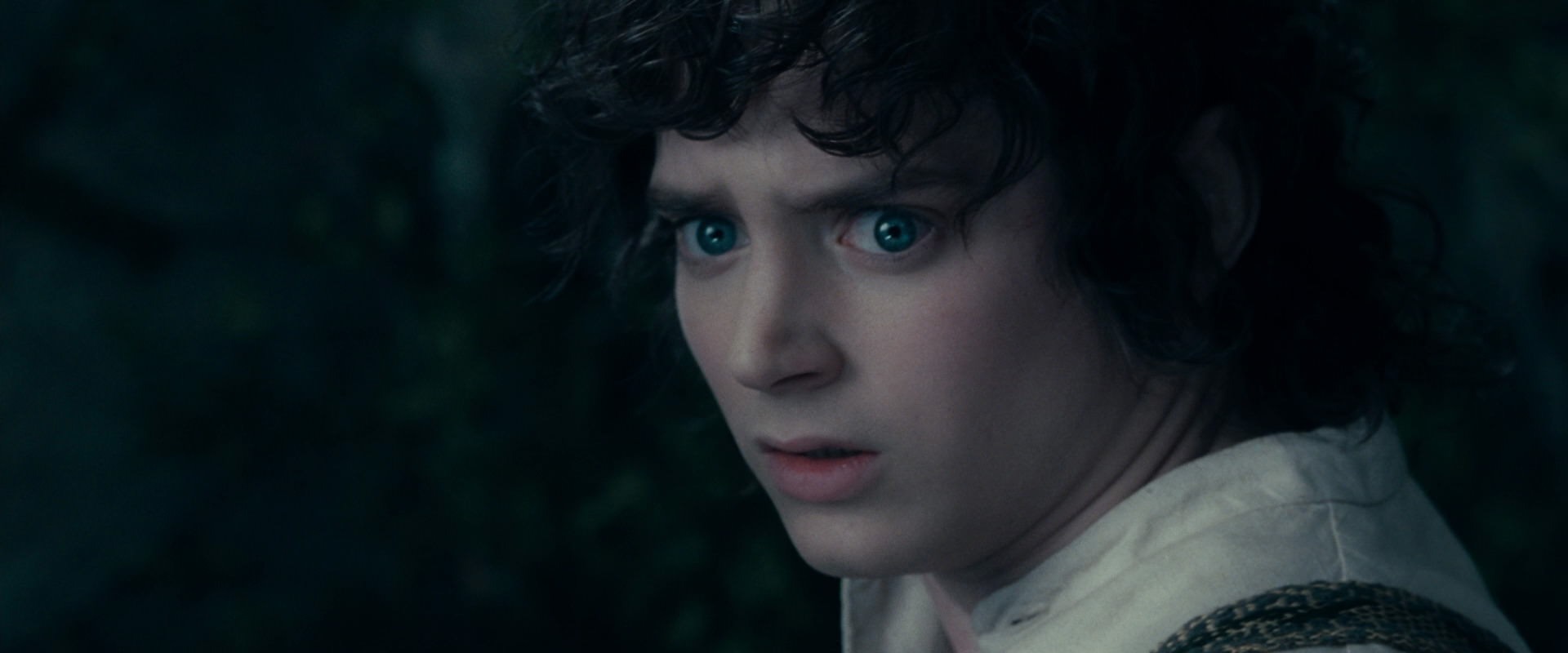 The Lord of the Rings: The Fellowship of the Ring (2001) movie still 19387