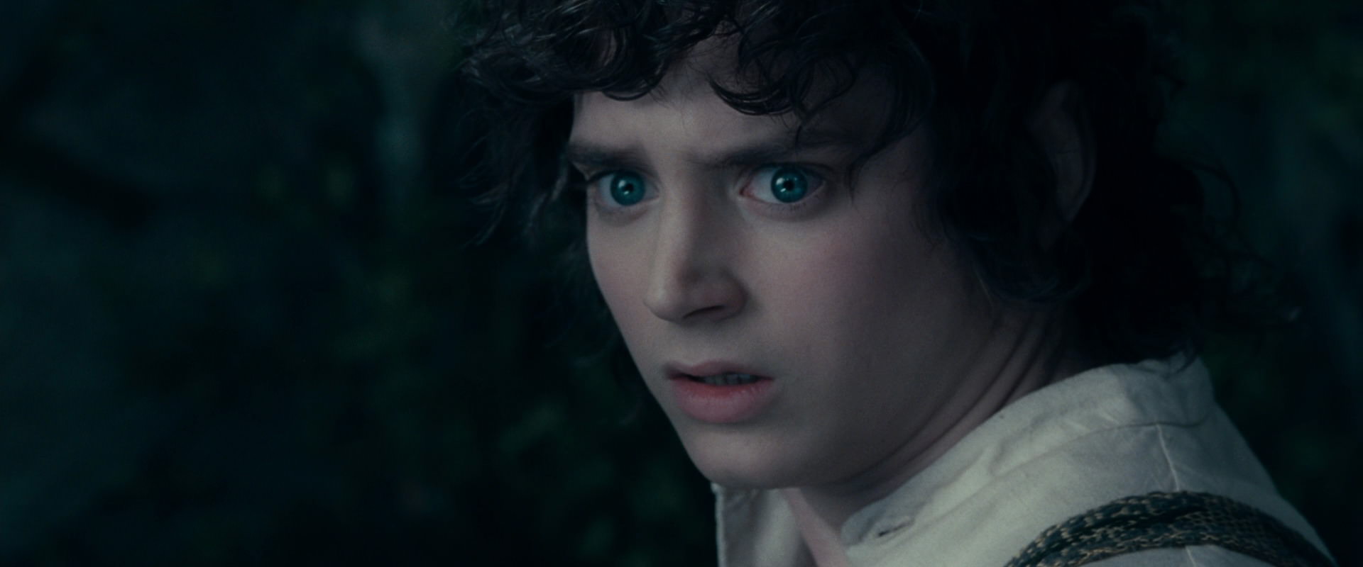 The Lord of the Rings: The Fellowship of the Ring (2001) screencap 19389