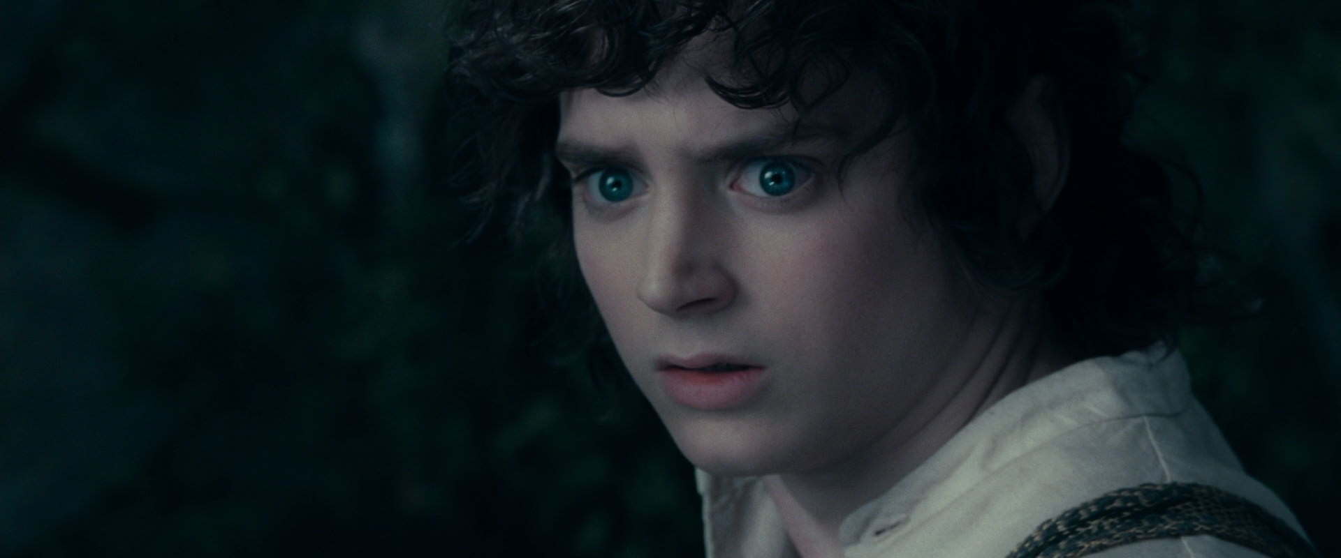 The Lord of the Rings: The Fellowship of the Ring (2001) movie still 19390