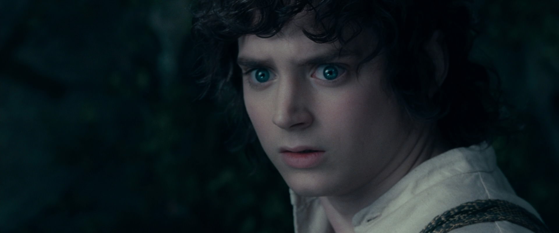 The Lord of the Rings: The Fellowship of the Ring (2001) HD screenshot 19391