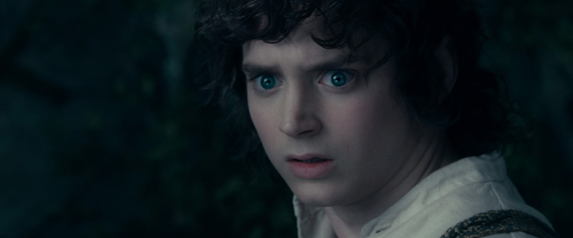 The Lord of the Rings: The Fellowship of the Ring (2001) screencap 19392