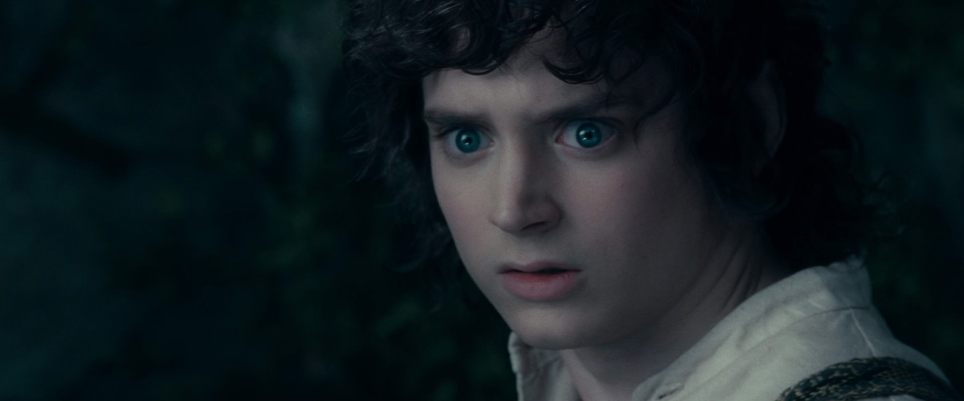 The Lord of the Rings: The Fellowship of the Ring (2001) movie still 19393