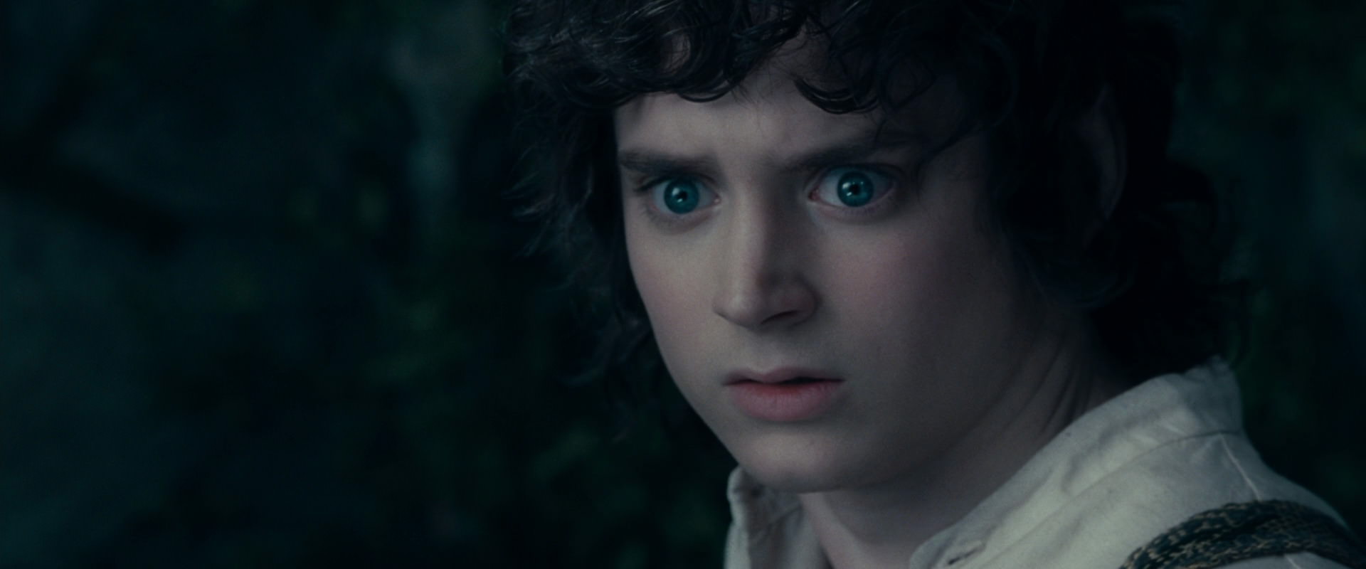 The Lord of the Rings: The Fellowship of the Ring (2001) HD screenshot 19394