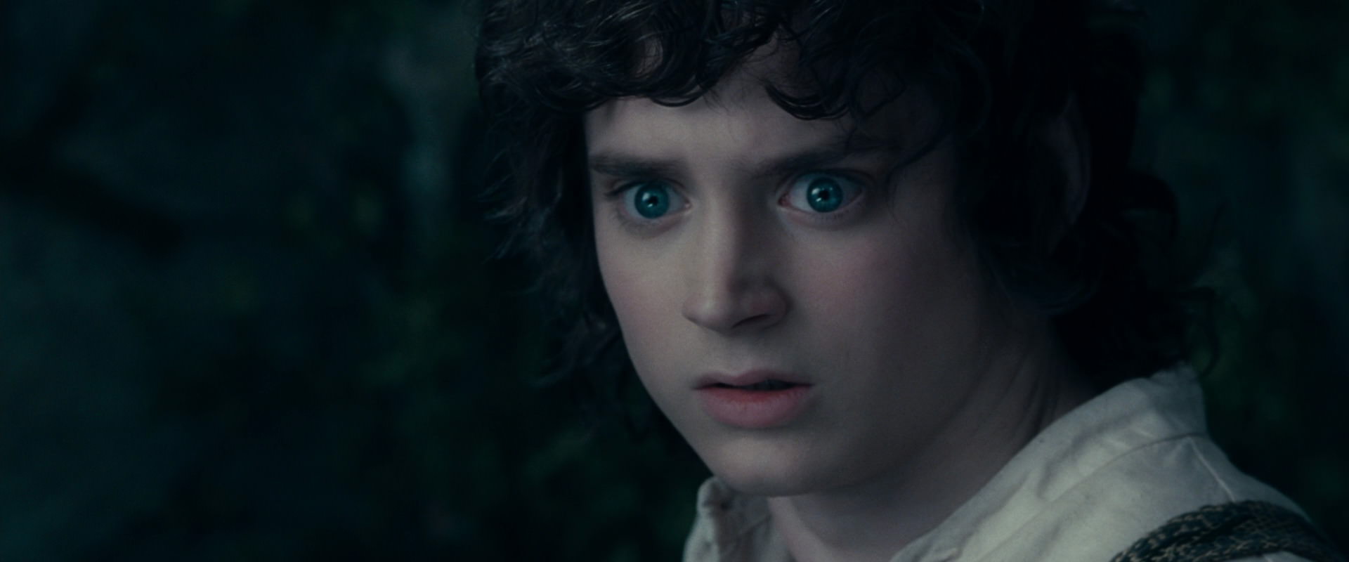 The Lord of the Rings: The Fellowship of the Ring (2001) screencap 19395