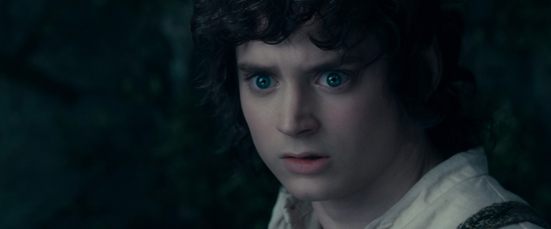 The Lord of the Rings: The Fellowship of the Ring (2001) movie still 19396