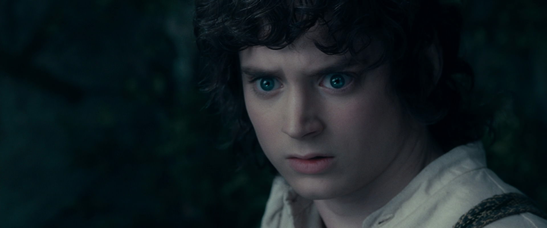 The Lord of the Rings: The Fellowship of the Ring (2001) HD screenshot 19397