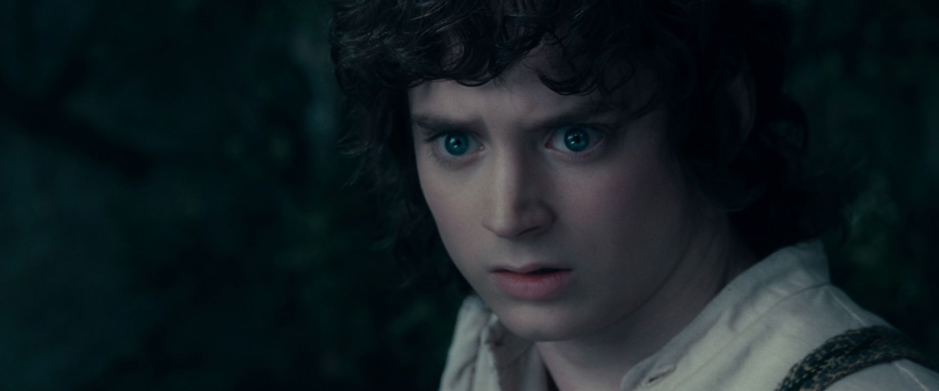 The Lord of the Rings: The Fellowship of the Ring (2001) screencap 19398