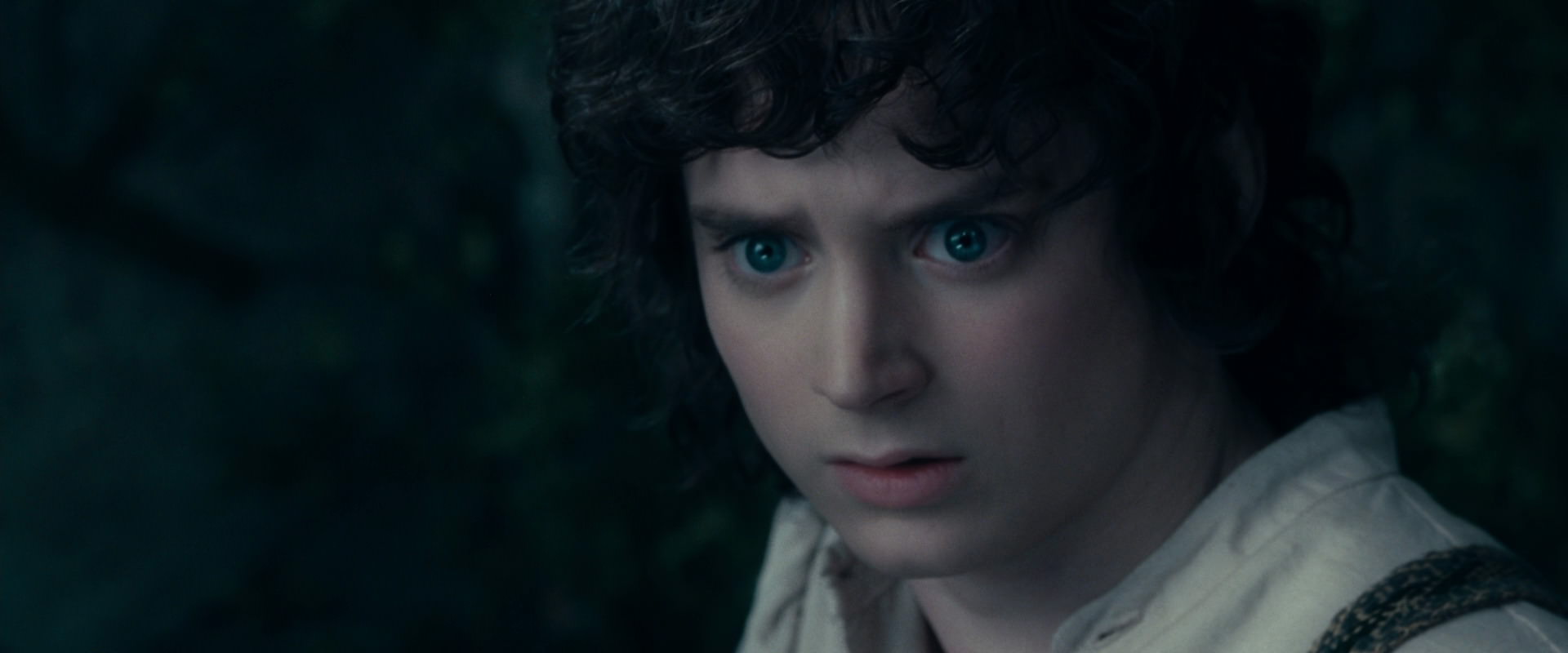 The Lord of the Rings: The Fellowship of the Ring (2001) movie still 19399