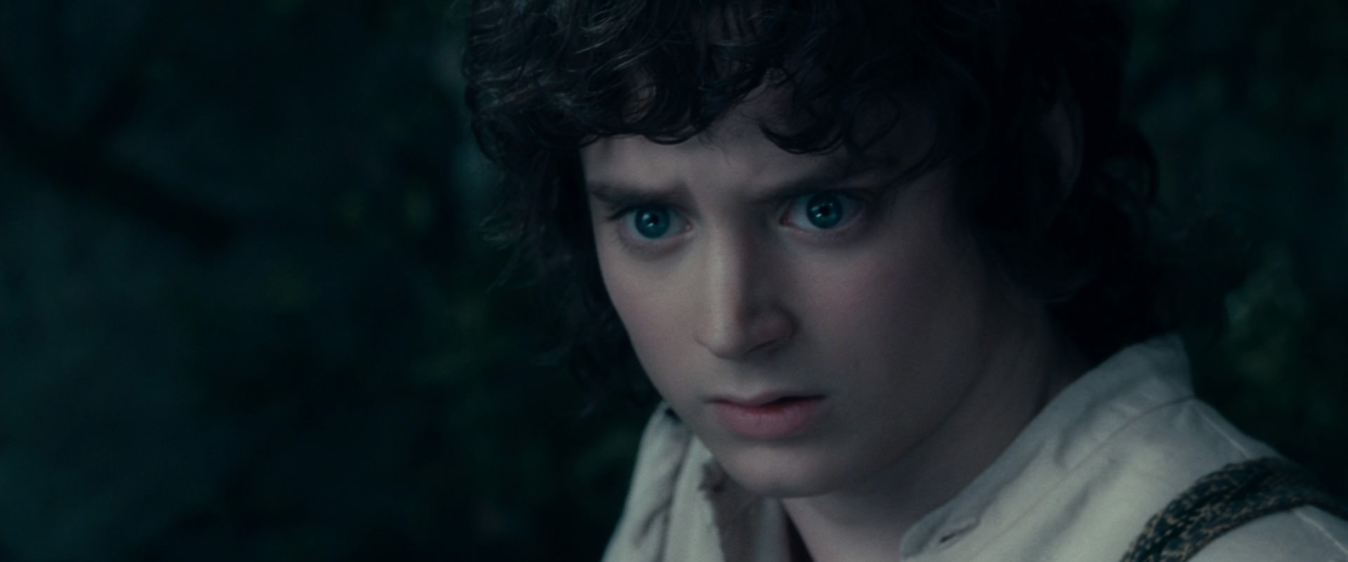 The Lord of the Rings: The Fellowship of the Ring (2001) HD screenshot 19400