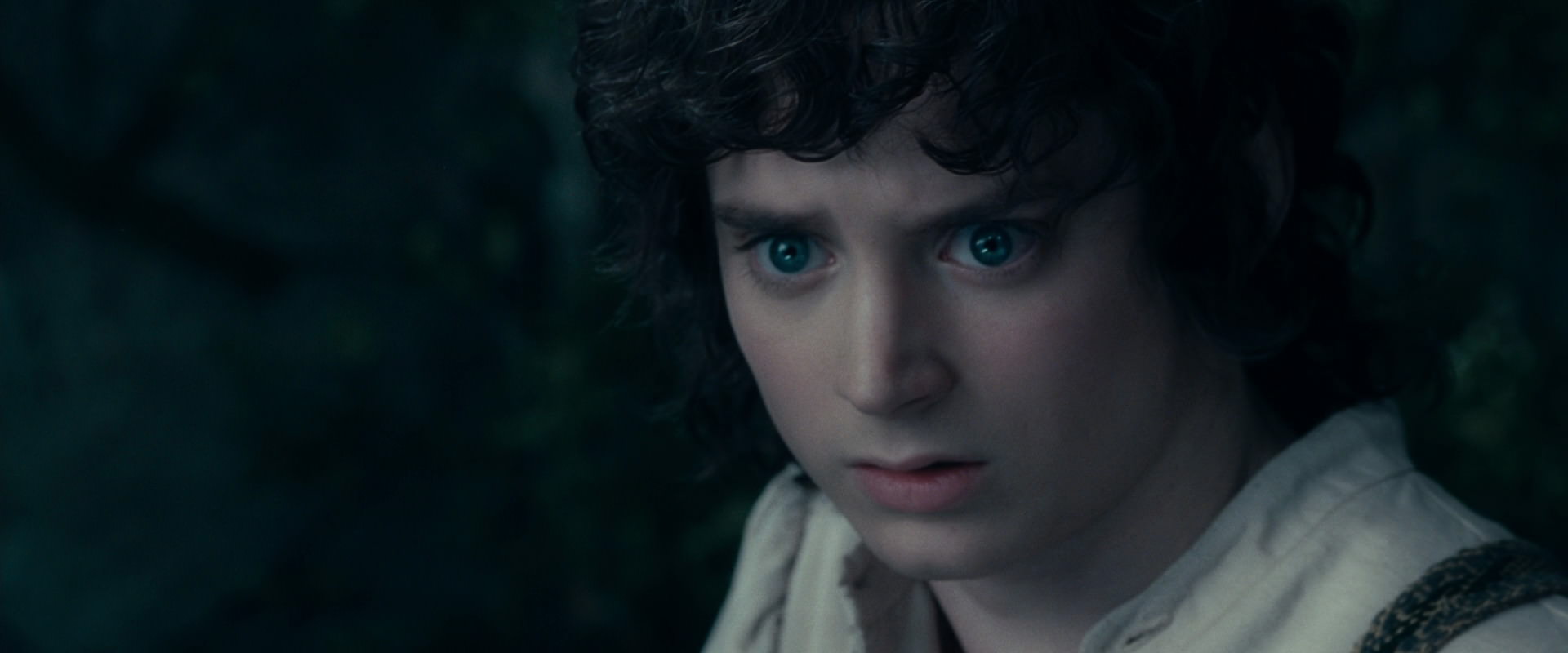 The Lord of the Rings: The Fellowship of the Ring (2001) screencap 19401