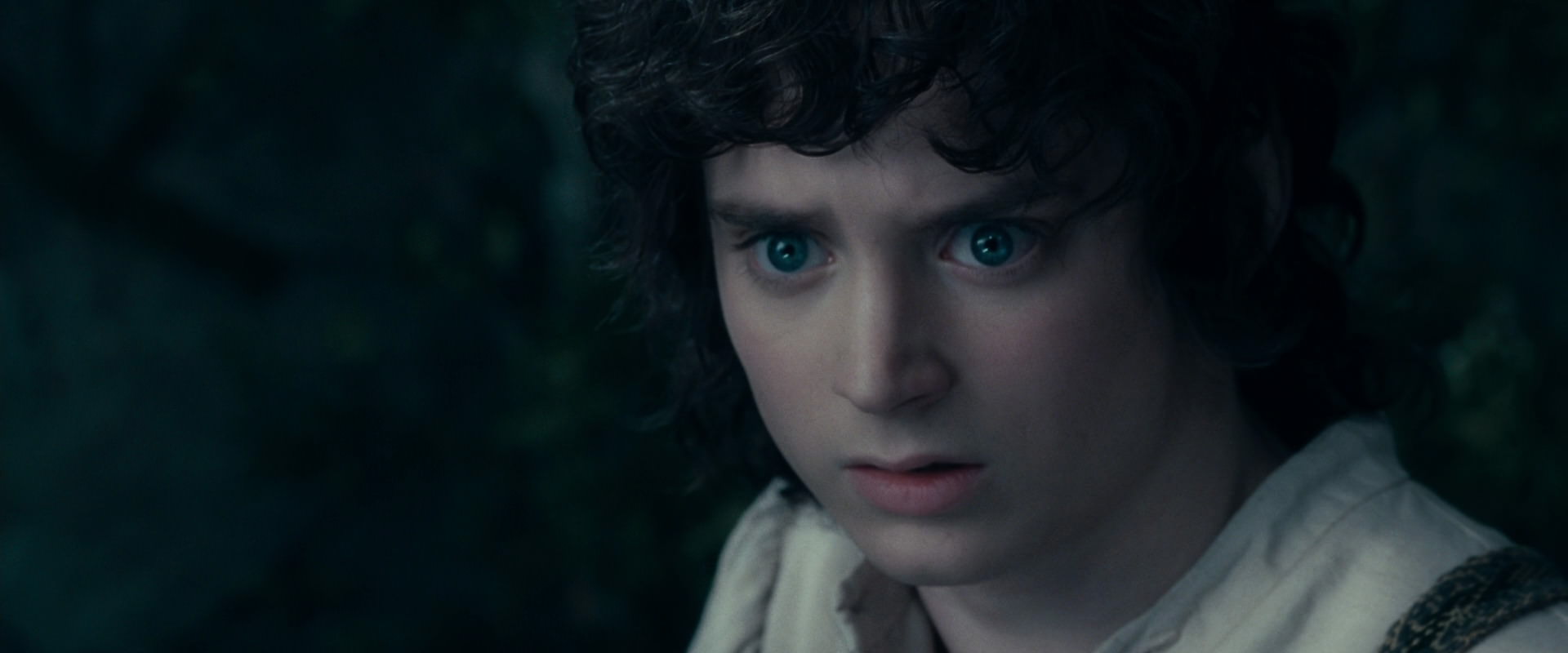 The Lord of the Rings: The Fellowship of the Ring (2001) movie still 19402