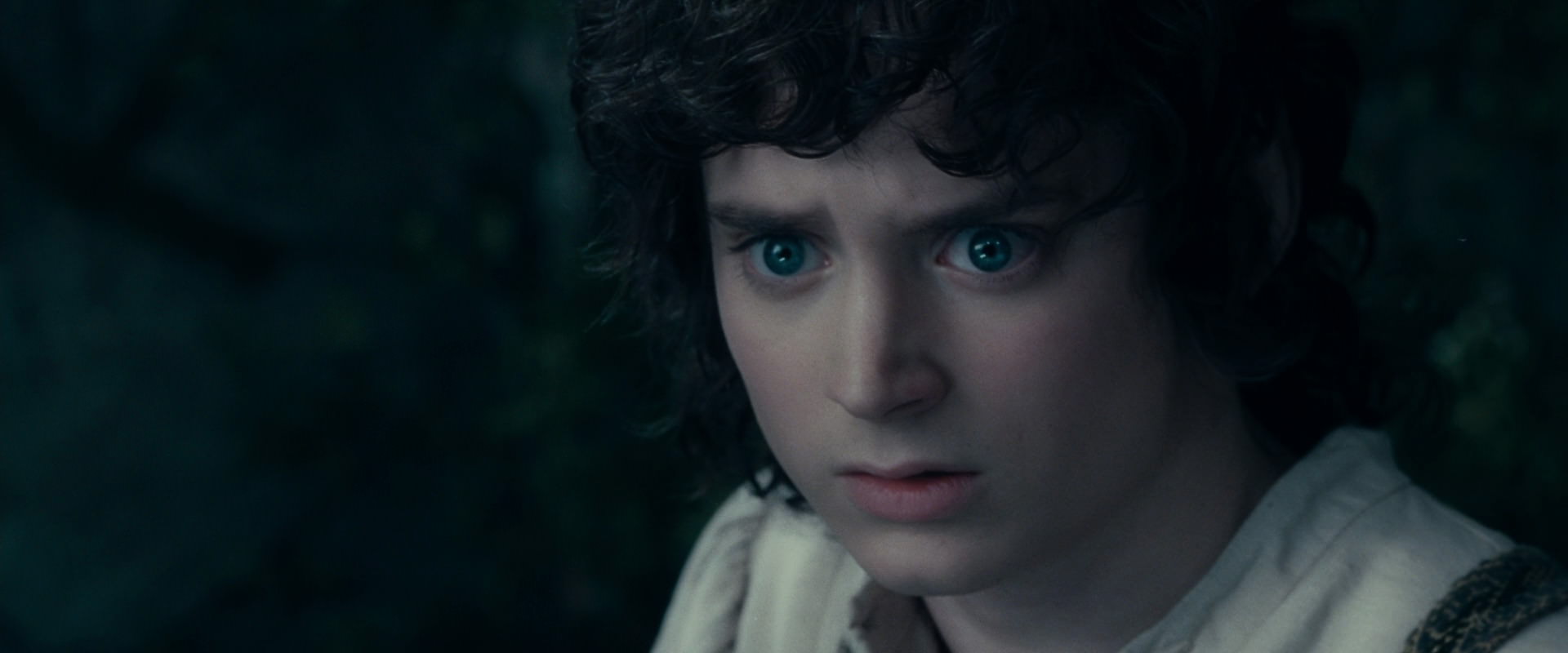 The Lord of the Rings: The Fellowship of the Ring (2001) HD screenshot 19403