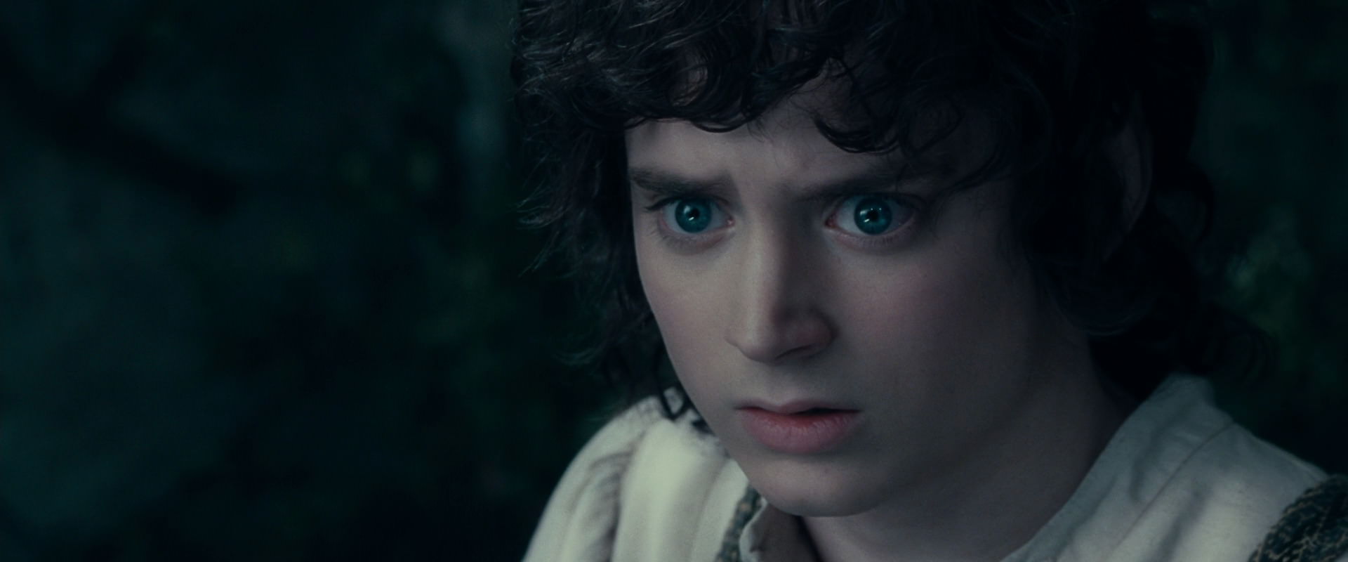 The Lord of the Rings: The Fellowship of the Ring (2001) screencap 19404