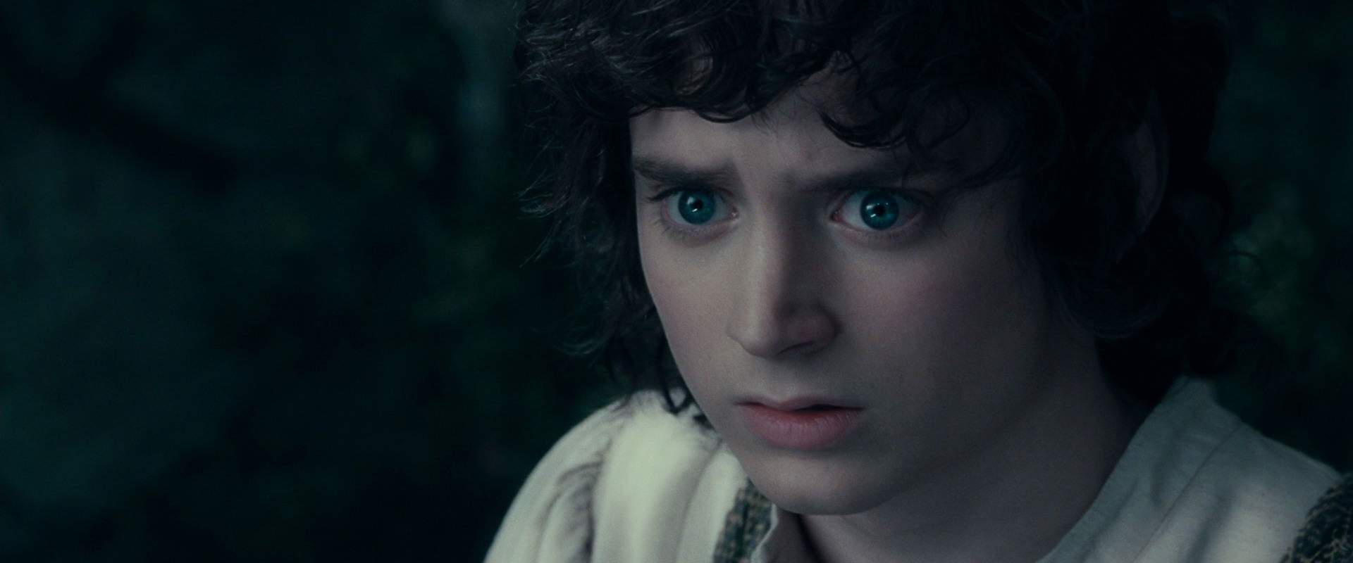 The Lord of the Rings: The Fellowship of the Ring (2001) movie still 19405