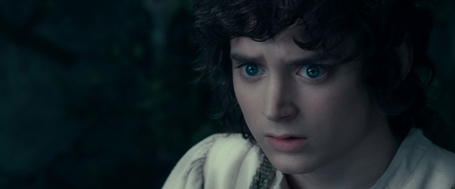 The Lord of the Rings: The Fellowship of the Ring (2001) HD screenshot 19406