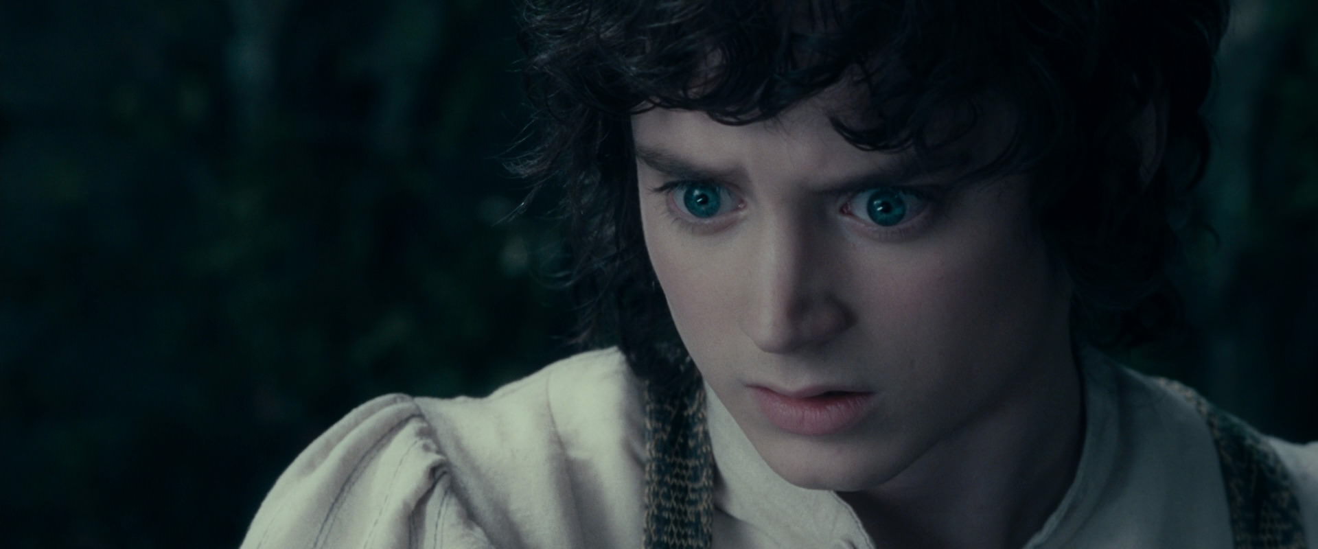 The Lord of the Rings: The Fellowship of the Ring (2001) screencap 19437