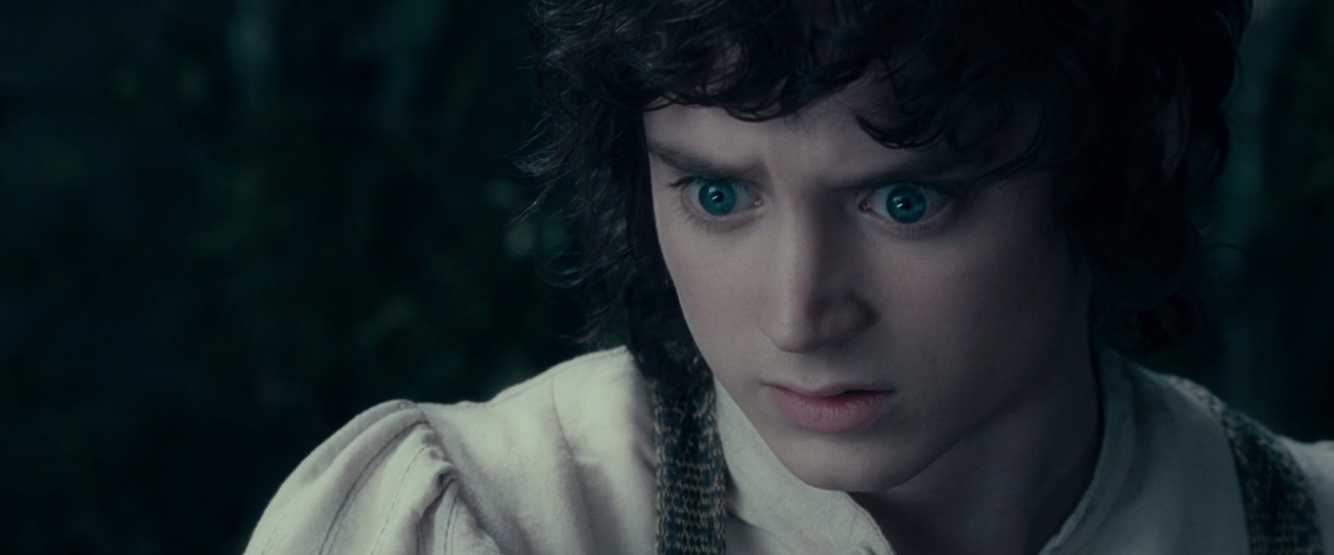 The Lord of the Rings: The Fellowship of the Ring (2001) movie still 19438