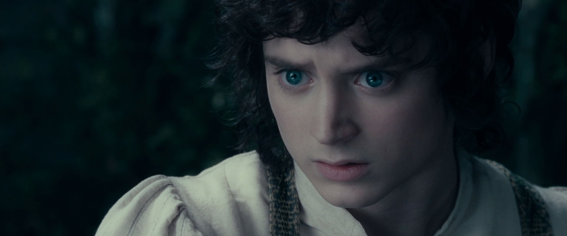 The Lord of the Rings: The Fellowship of the Ring (2001) HD screenshot 19439