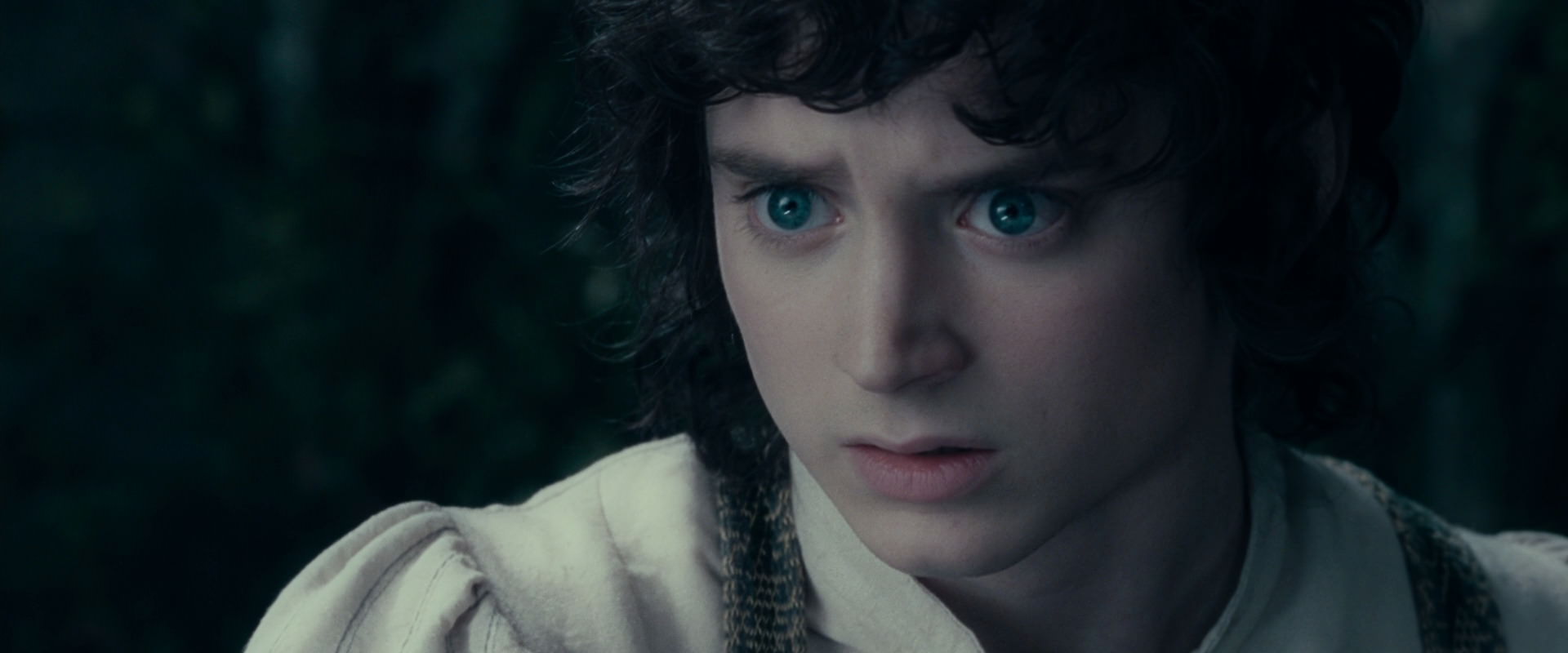 The Lord of the Rings: The Fellowship of the Ring (2001) screencap 19440