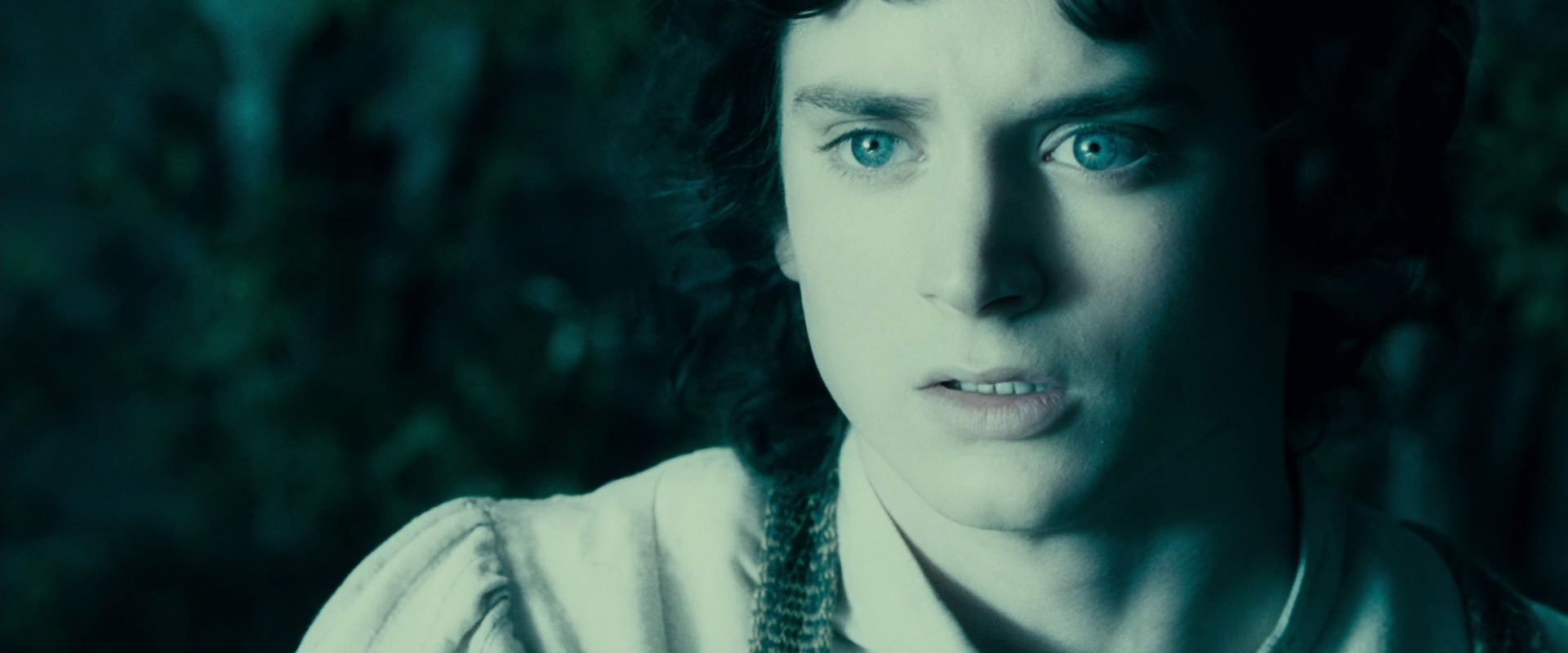 The Lord of the Rings: The Fellowship of the Ring (2001) movie still 19456