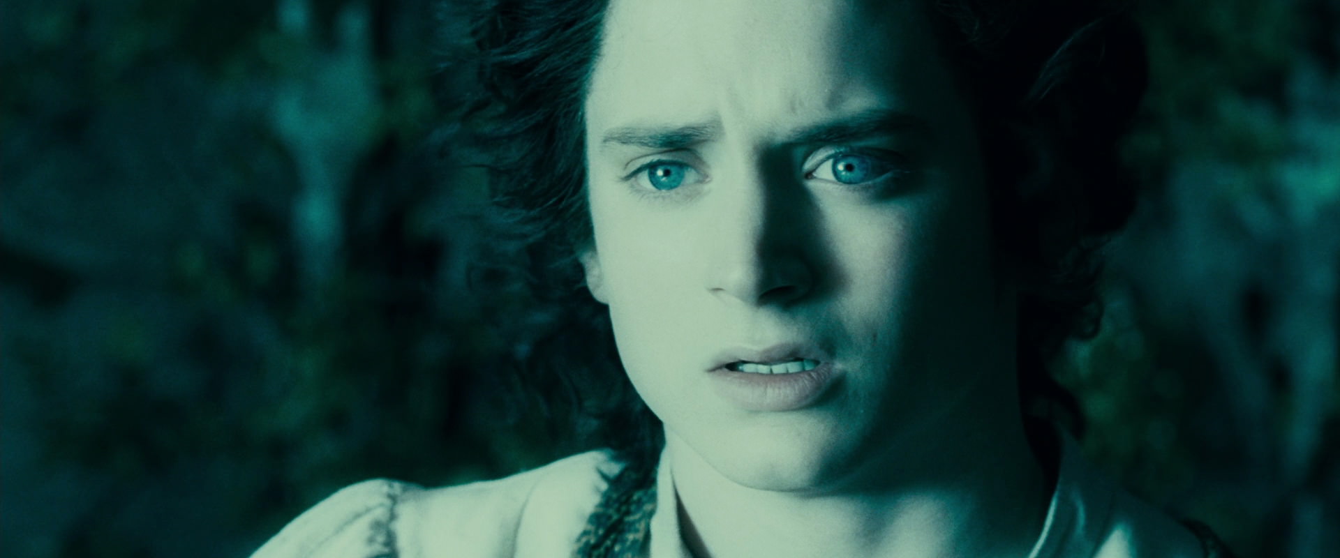 The Lord of the Rings: The Fellowship of the Ring (2001) screencap 19473