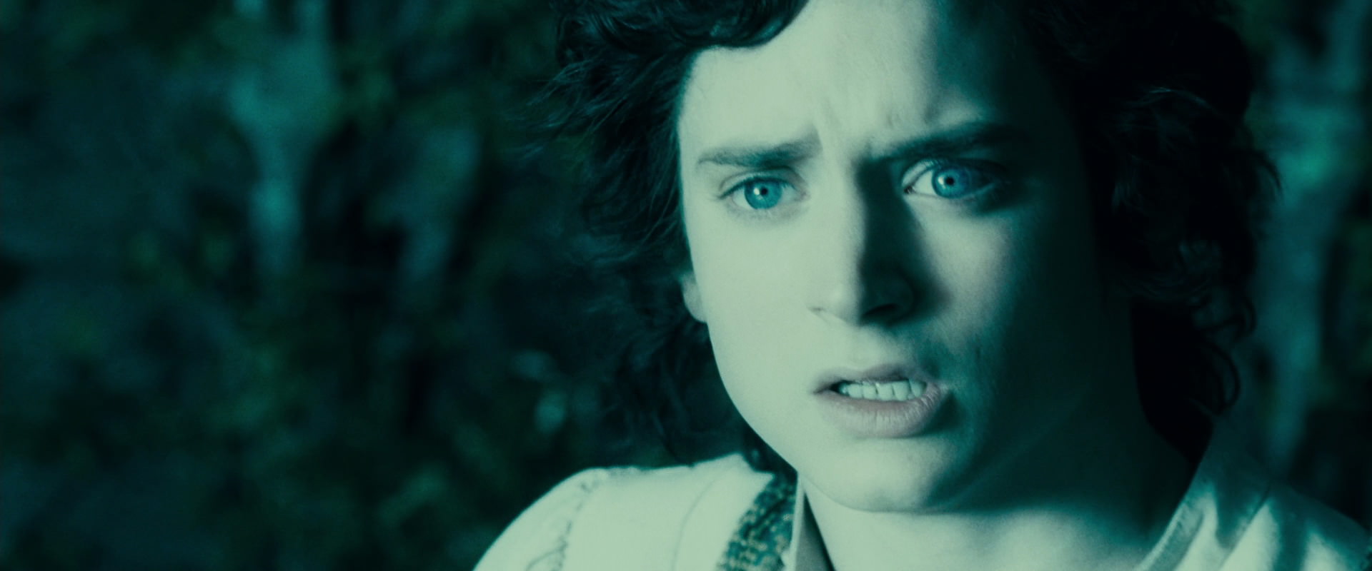 The Lord of the Rings: The Fellowship of the Ring (2001) HD screenshot 19475