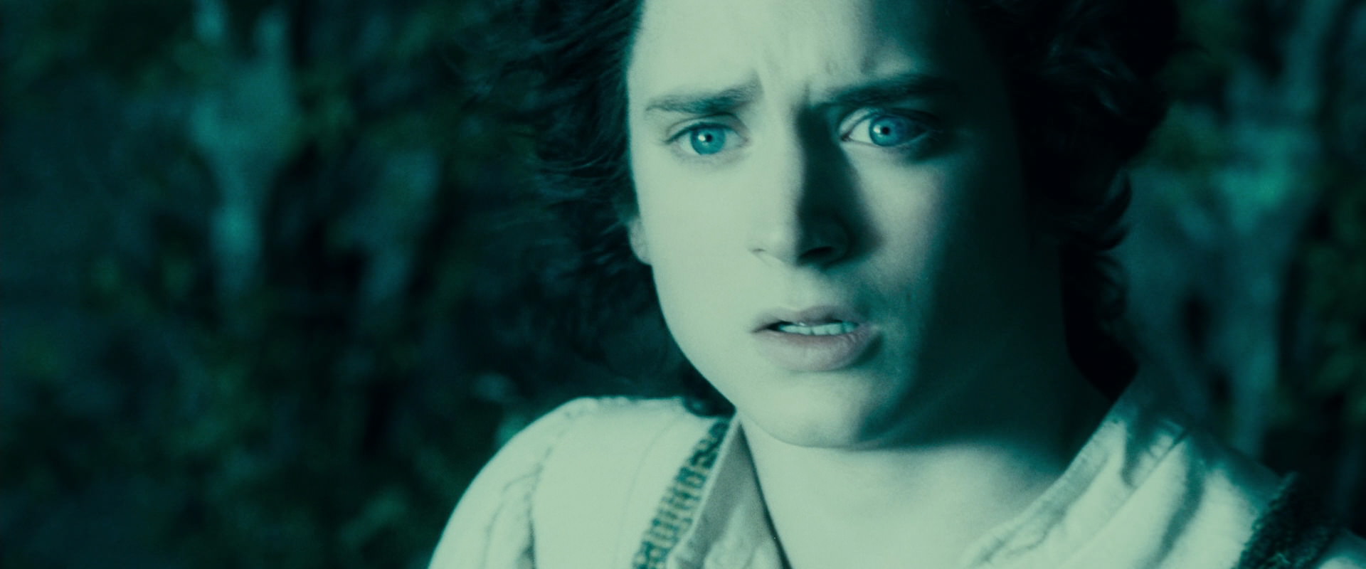 The Lord of the Rings: The Fellowship of the Ring (2001) screencap 19476