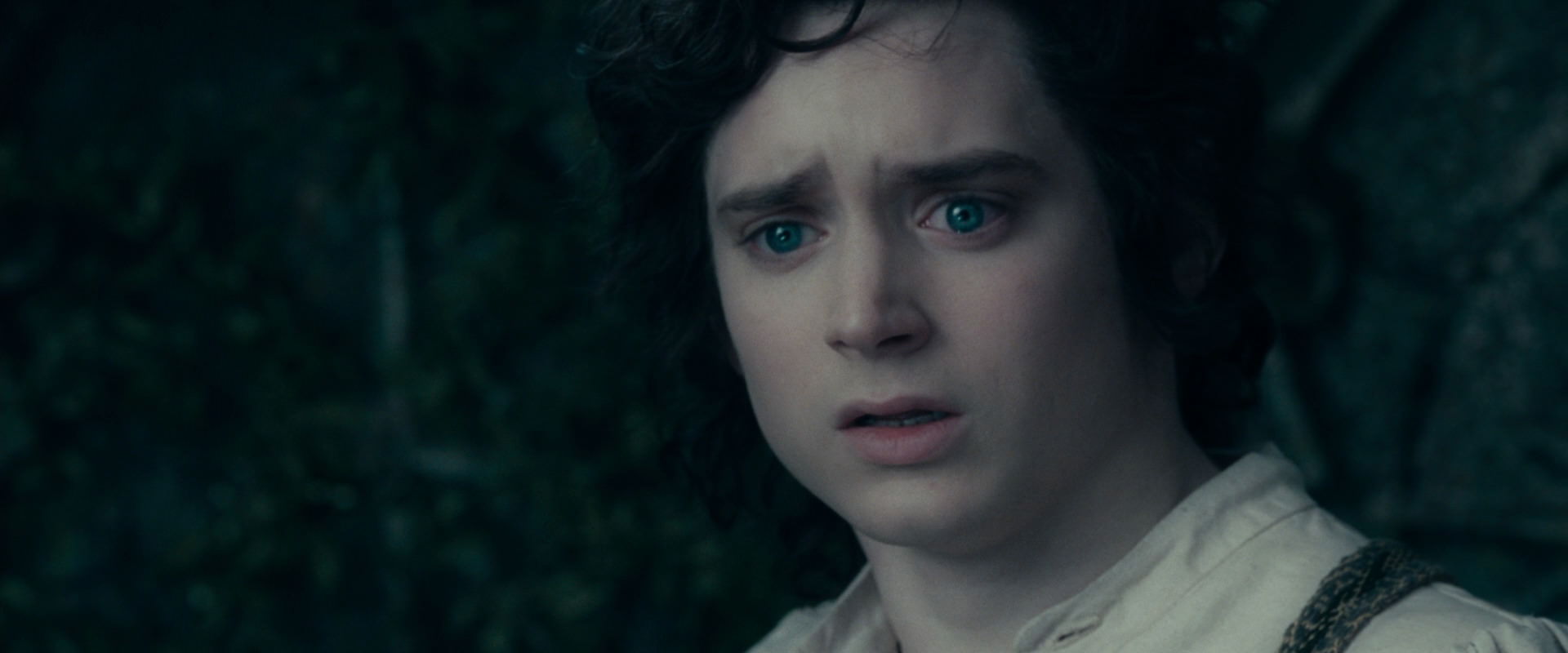 The Lord of the Rings: The Fellowship of the Ring (2001) HD screenshot 19514