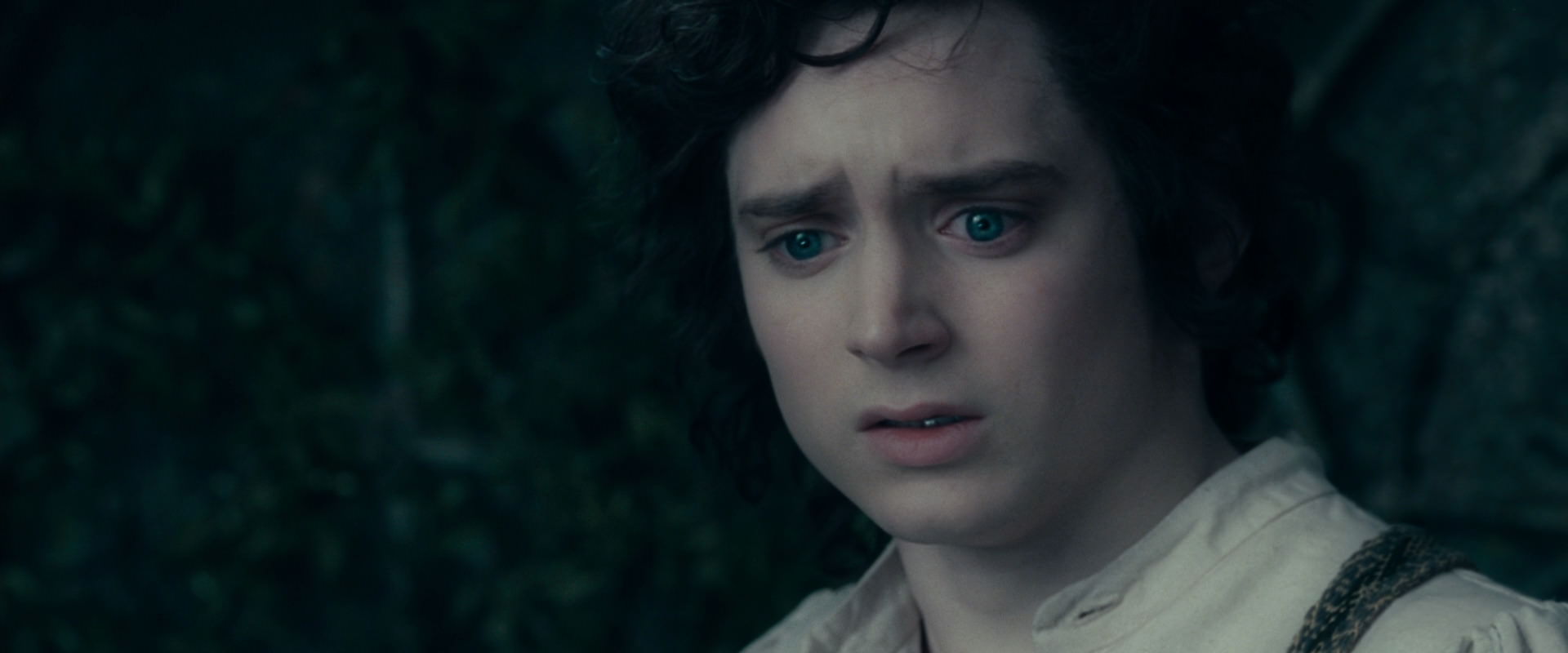 The Lord of the Rings: The Fellowship of the Ring (2001) screencap 19515