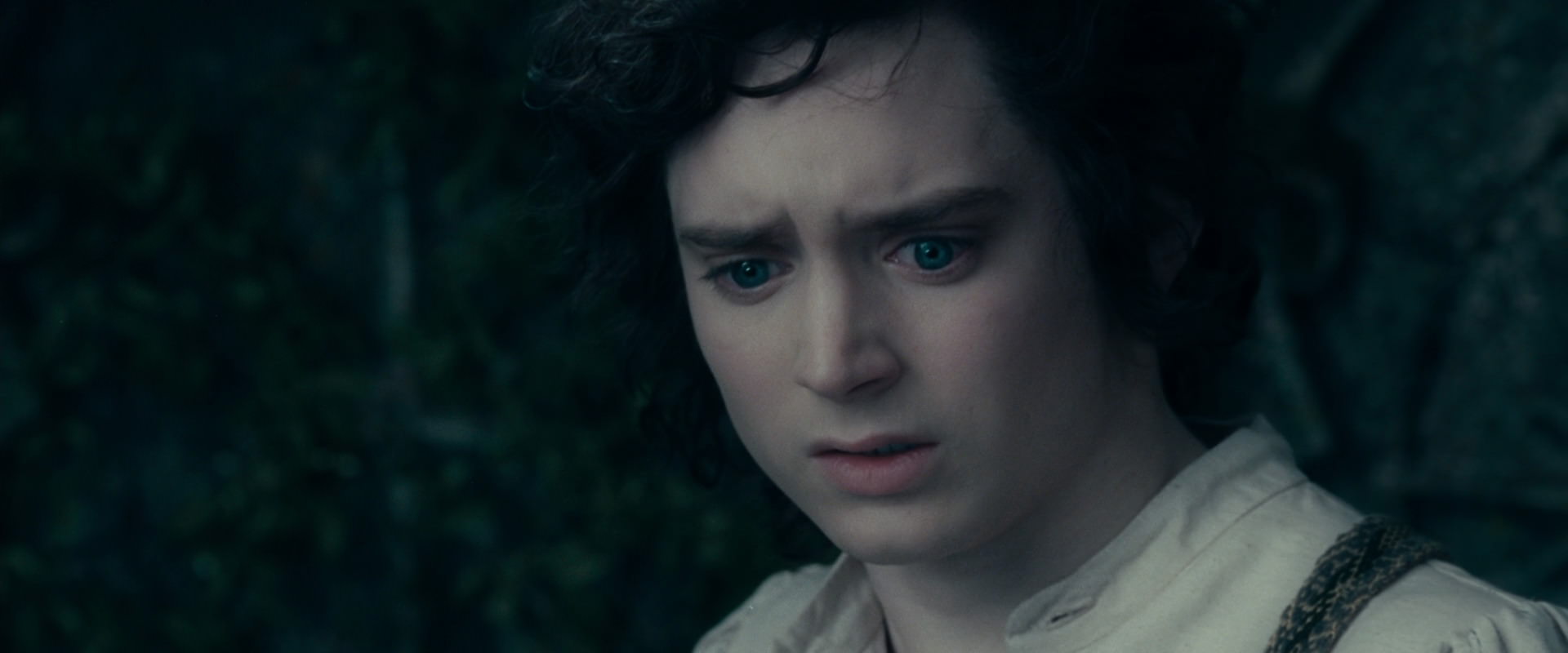 The Lord of the Rings: The Fellowship of the Ring (2001) HD screenshot 19517