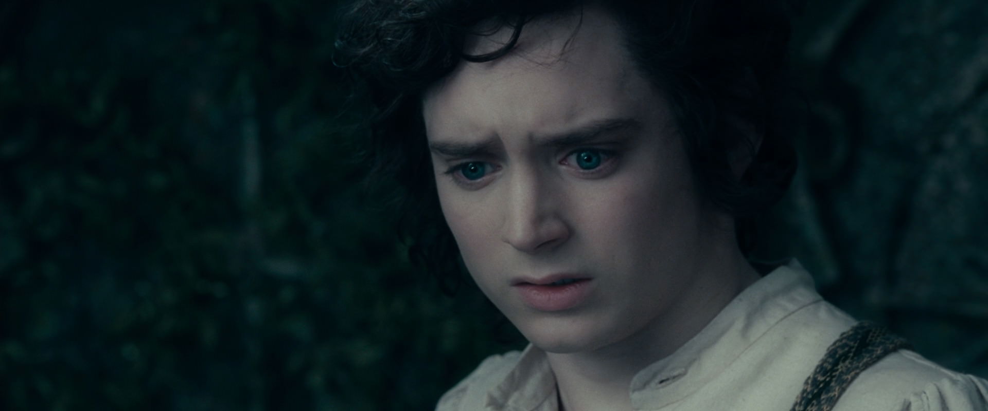 The Lord of the Rings: The Fellowship of the Ring (2001) screencap 19518