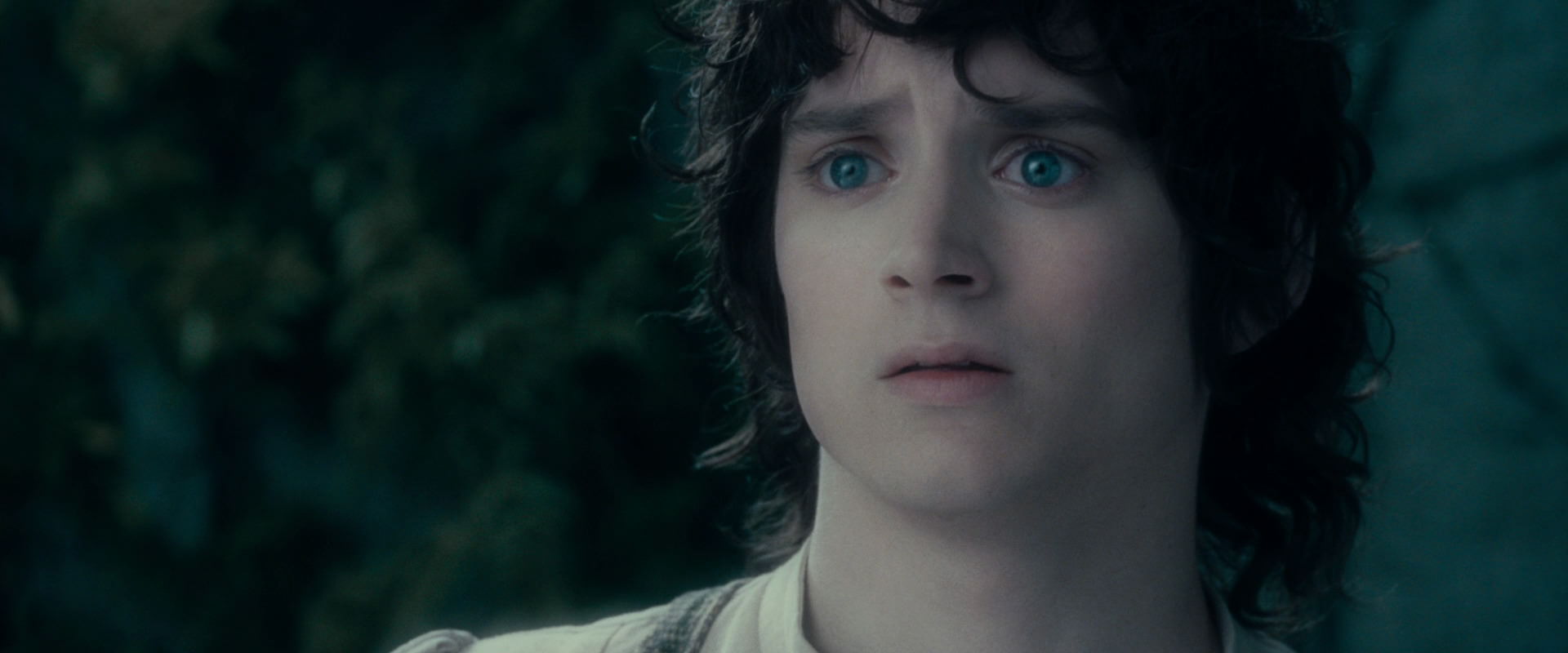 The Lord of the Rings: The Fellowship of the Ring (2001) HD screenshot 19541