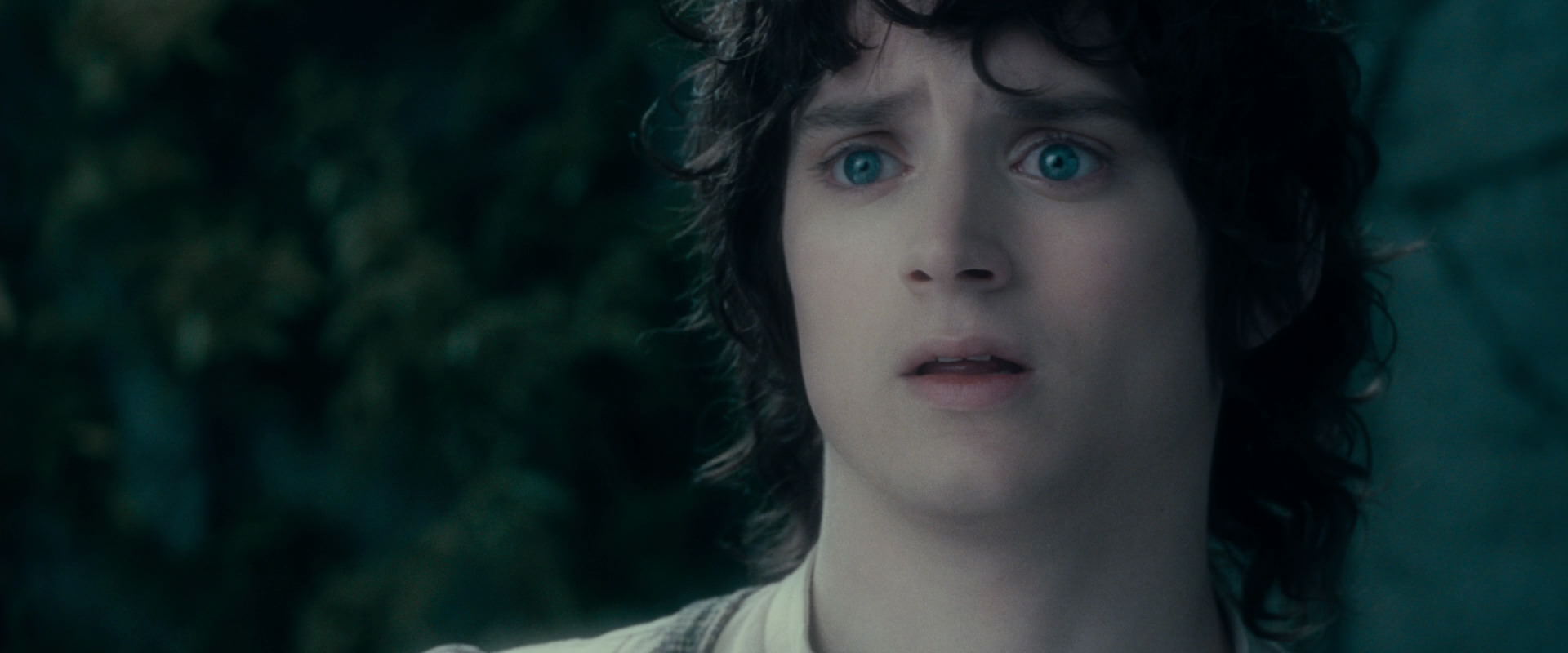 The Lord of the Rings: The Fellowship of the Ring (2001) screencap 19542