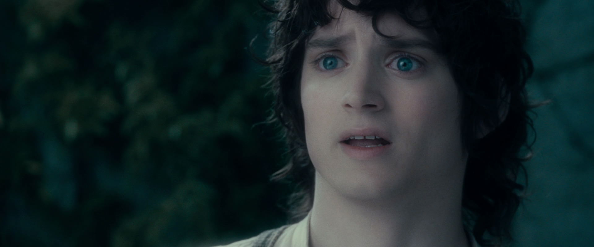 The Lord of the Rings: The Fellowship of the Ring (2001) movie still 19543