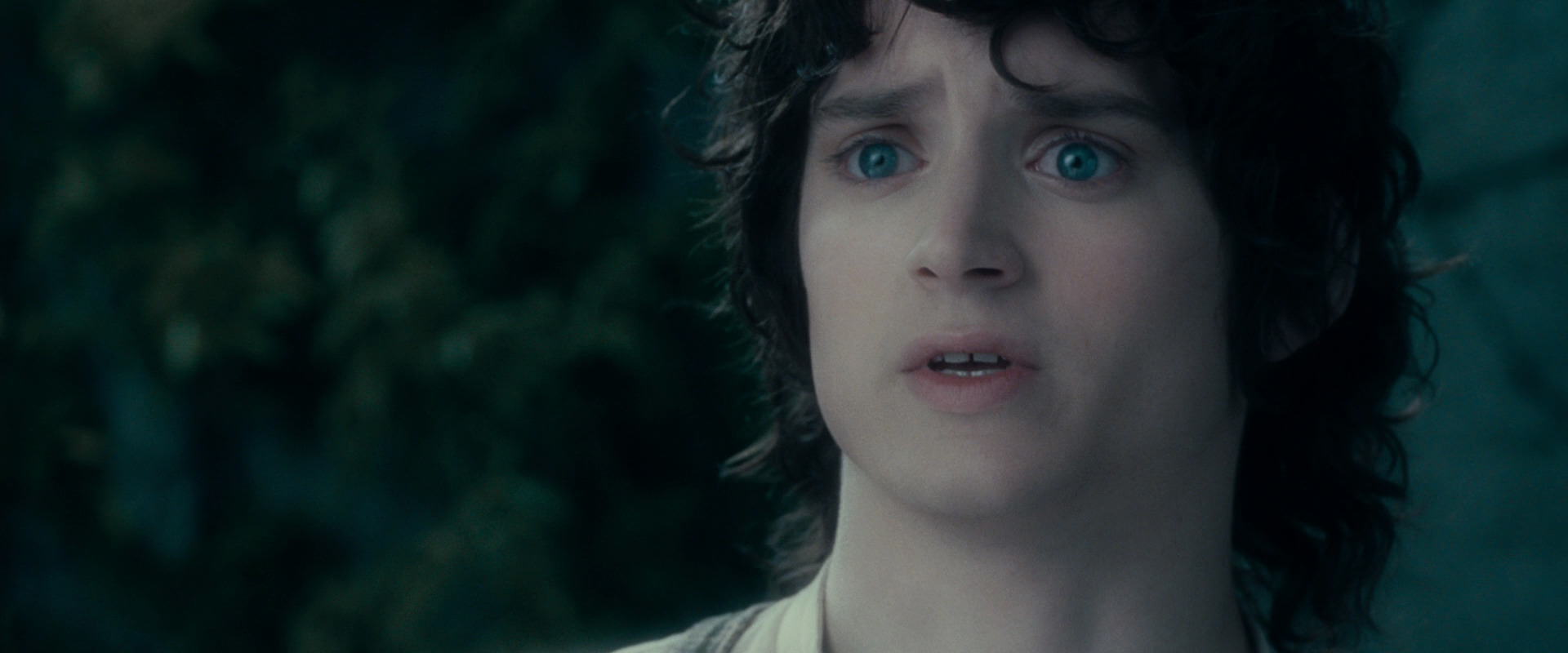 The Lord of the Rings: The Fellowship of the Ring (2001) HD screenshot 19544