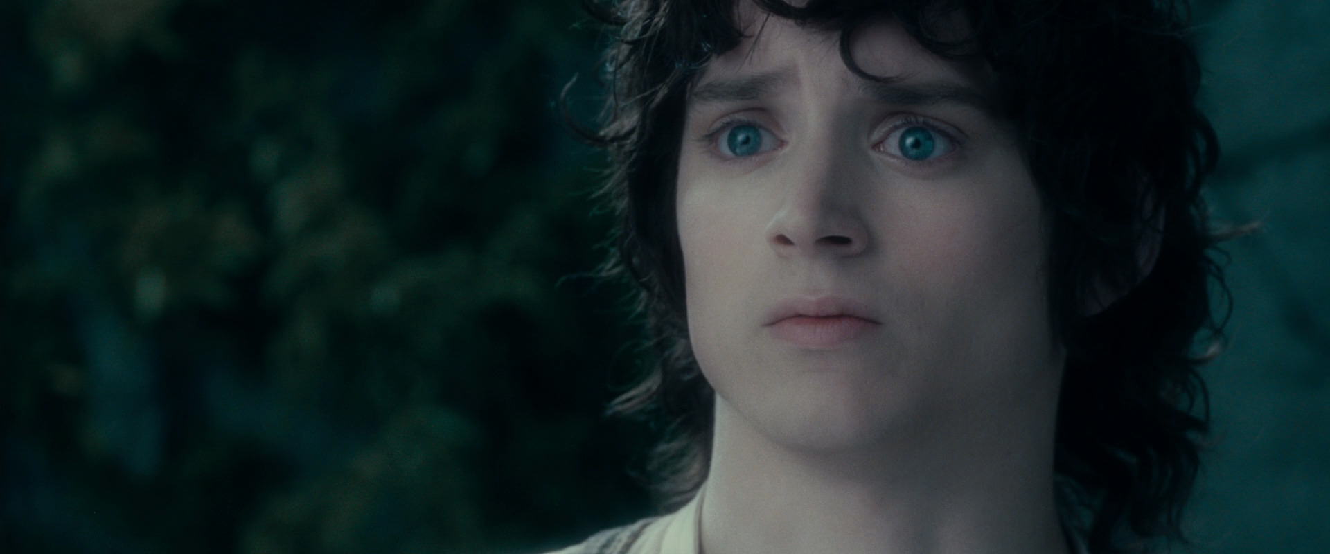 The Lord of the Rings: The Fellowship of the Ring (2001) screencap 19545