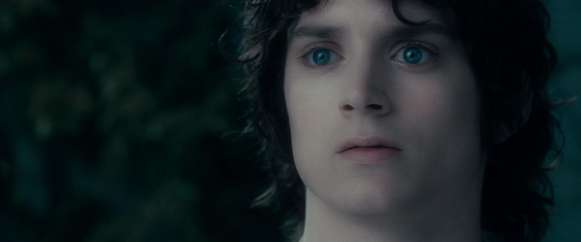 The Lord of the Rings: The Fellowship of the Ring (2001) movie still 19558